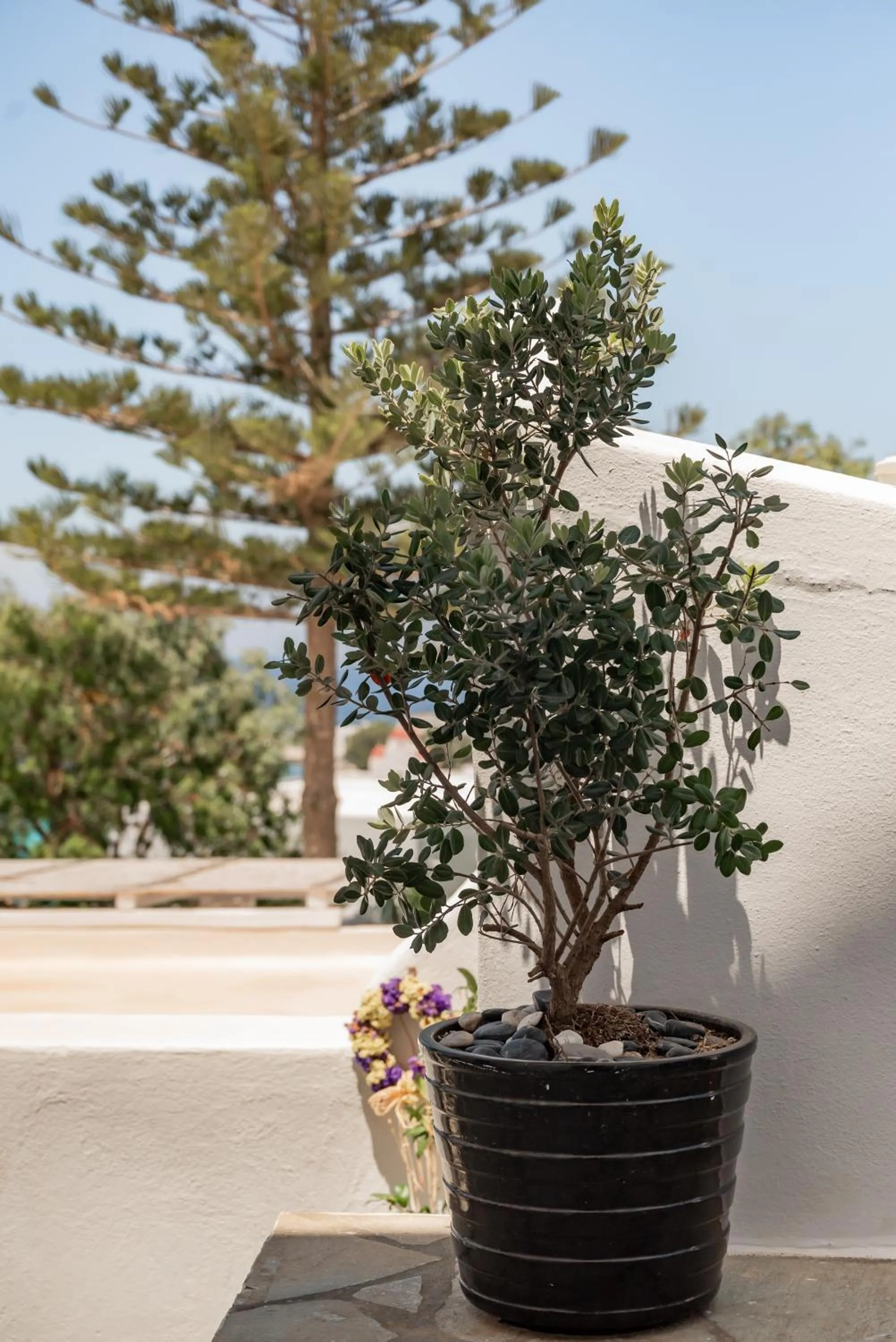 Rania Apartments Sea View