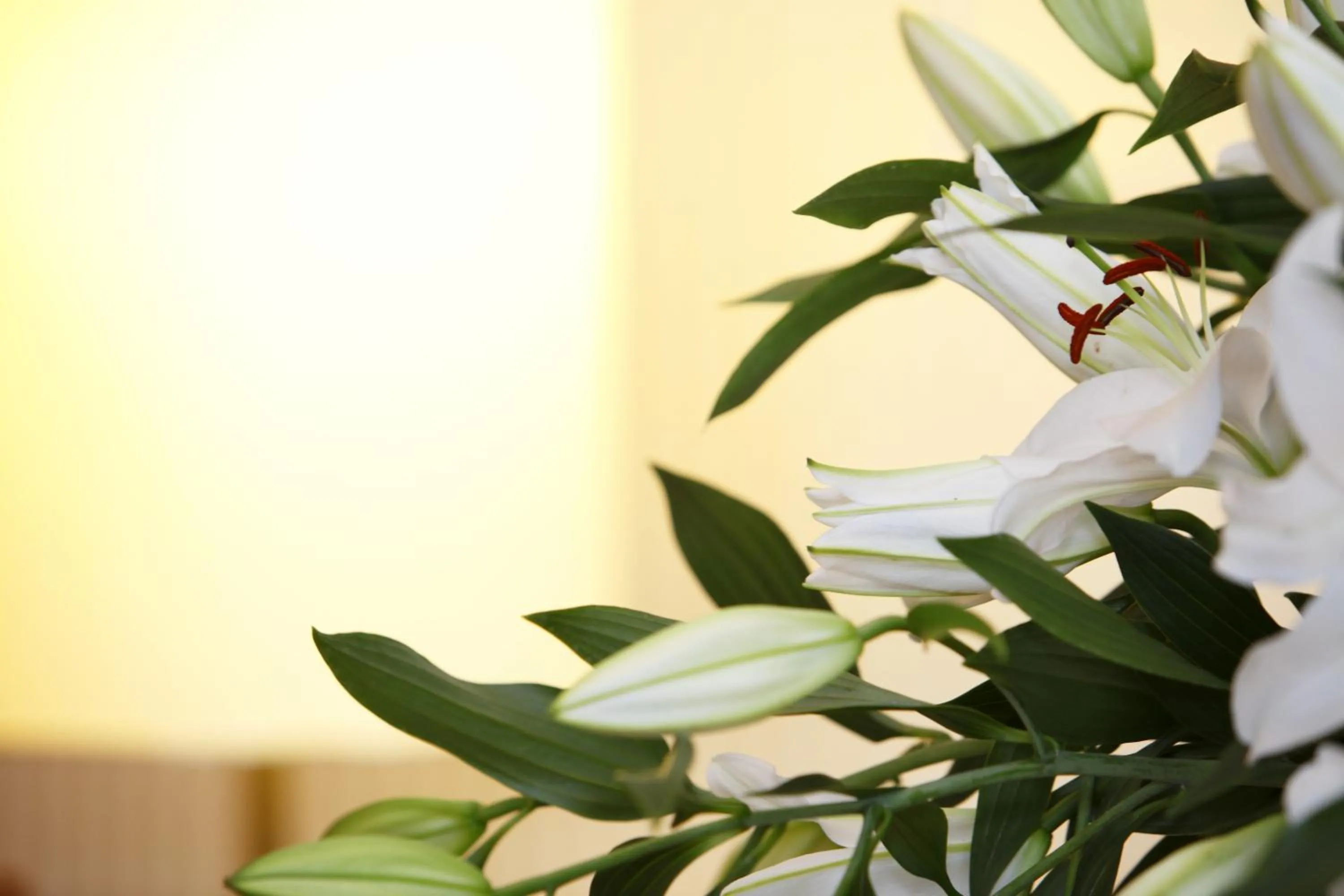 Area and facilities in Schlosshotel Karlsruhe