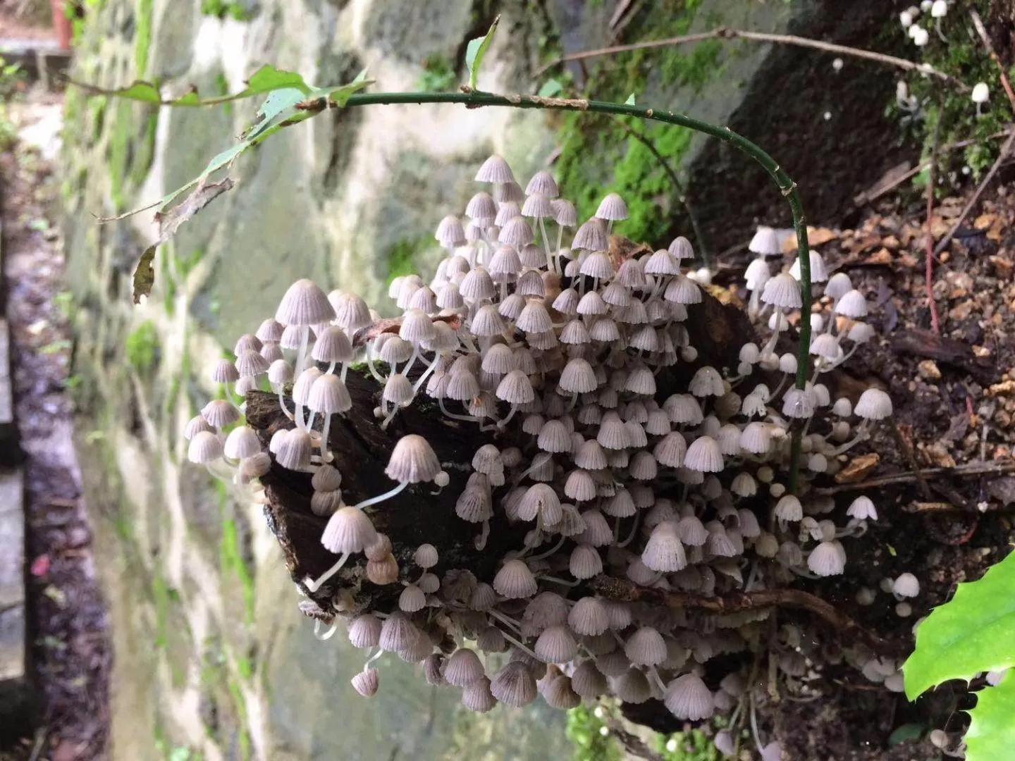 7Days Inn Hanzhong Tianhan Avenue South Station