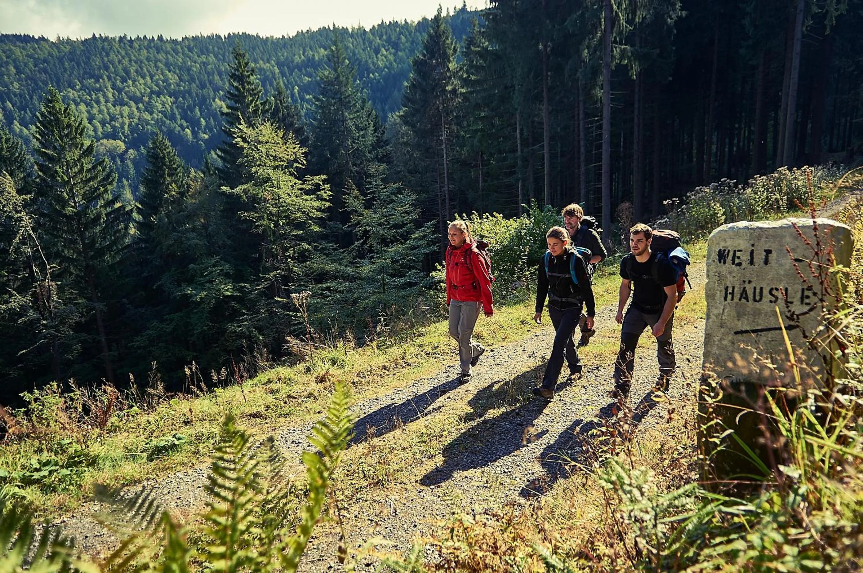 Hiking in Hotel Erbprinz - Gourmet & Spa