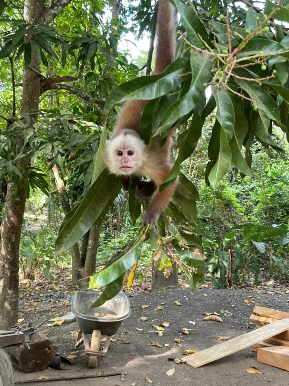 Natural landscape in Kawabonga