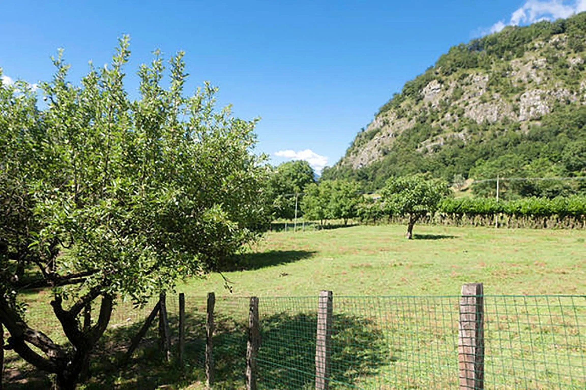 Natural landscape in Podere Brughee