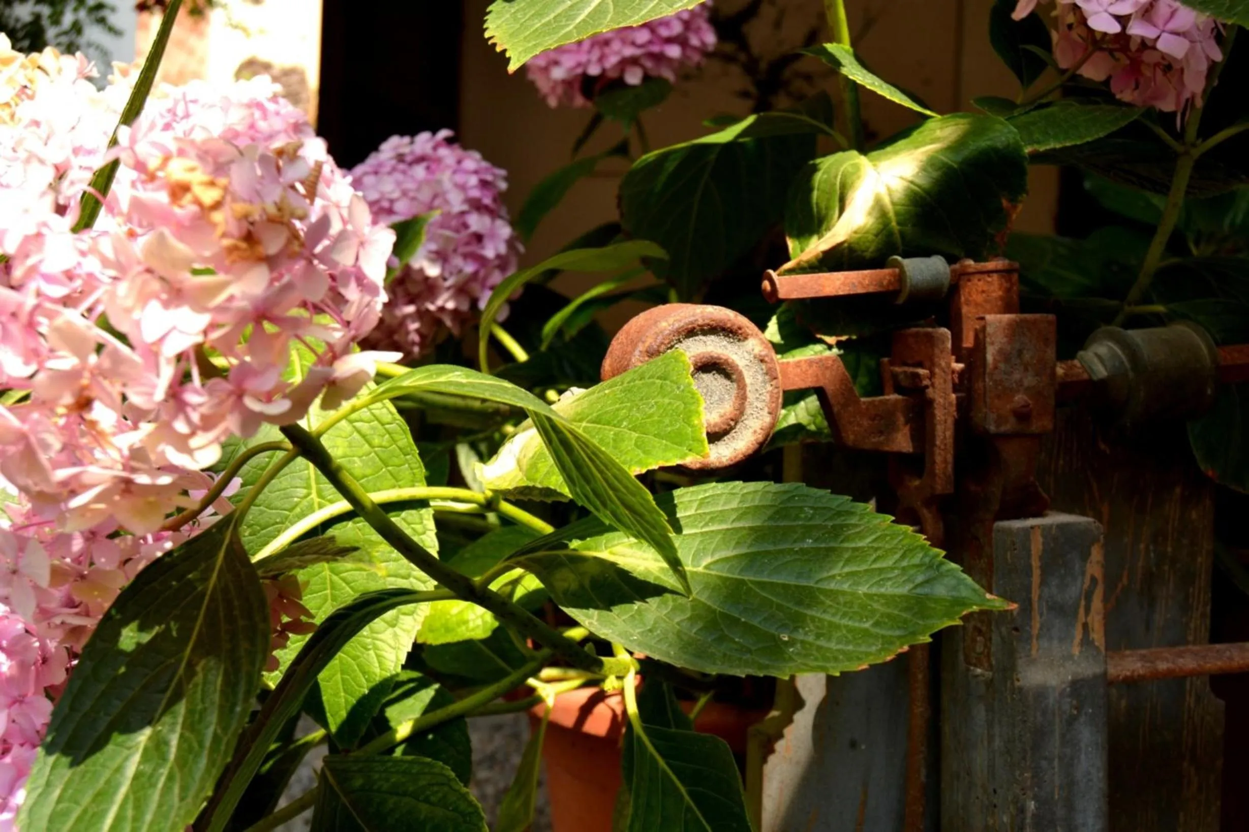 Decorative detail in Marakasa B&B