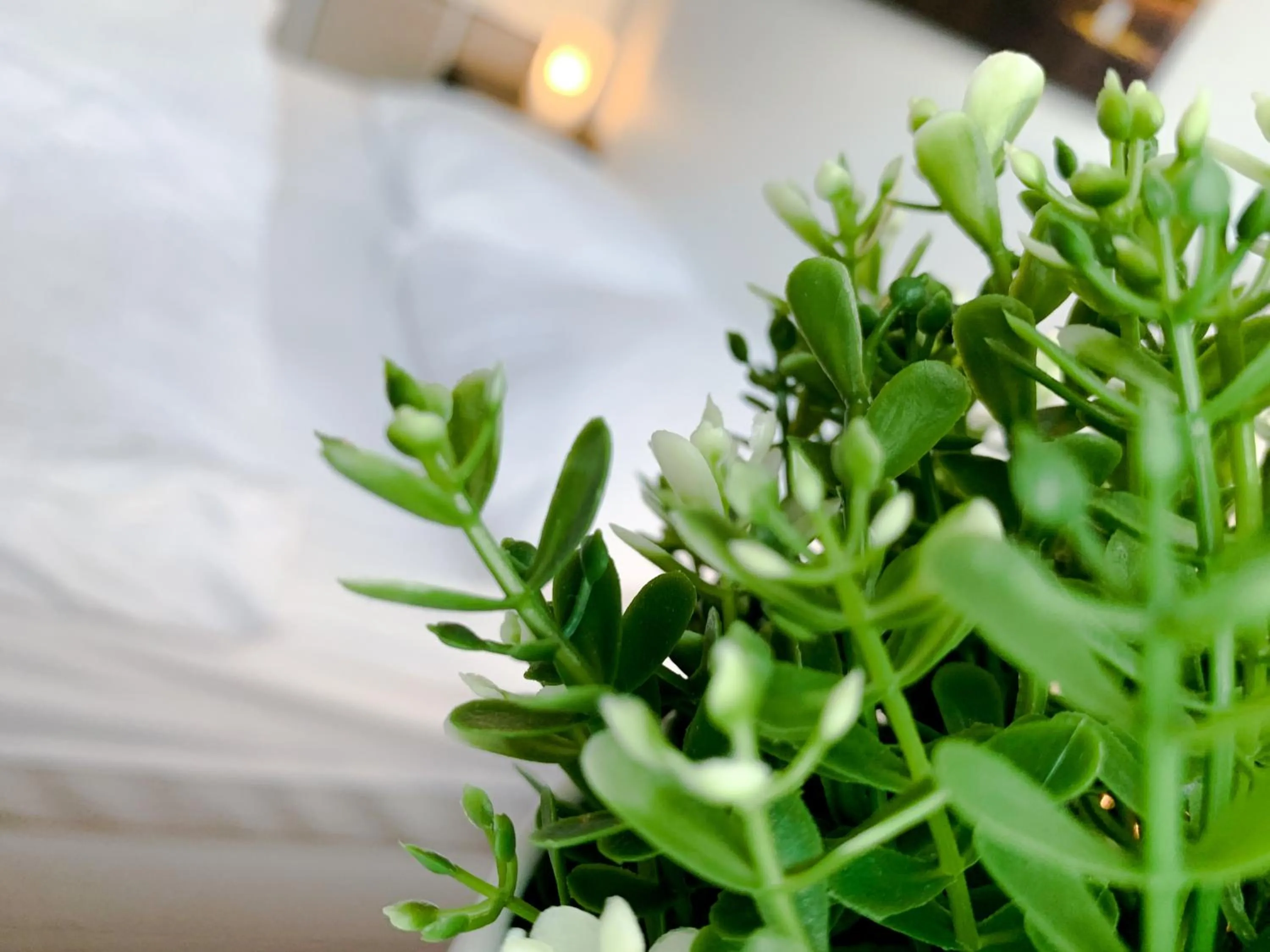 Decorative detail in Relax Aachener Boardinghouse Appartements Premium 1