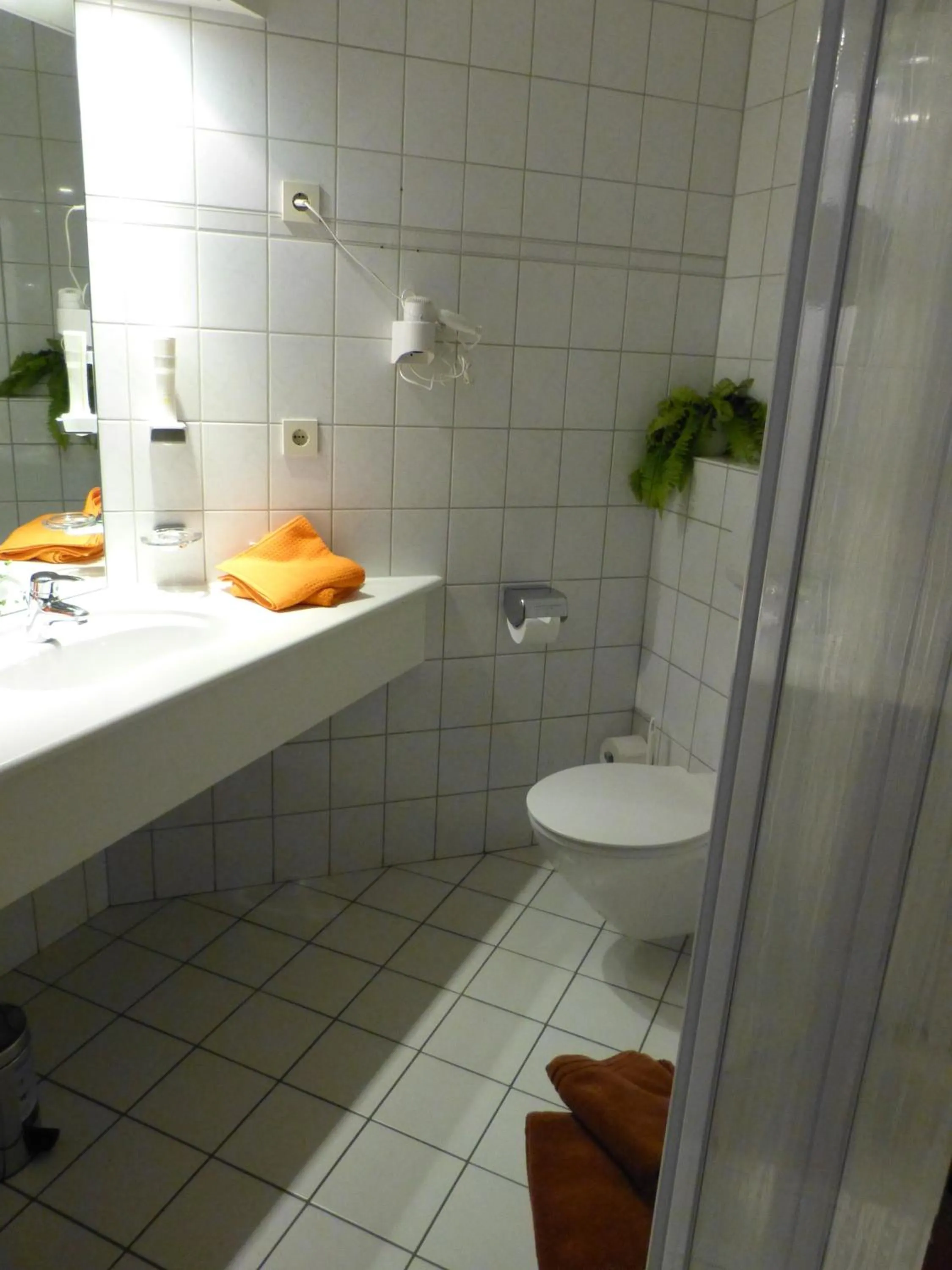 Bathroom in Landgasthaus Gieseke-Asshorn
