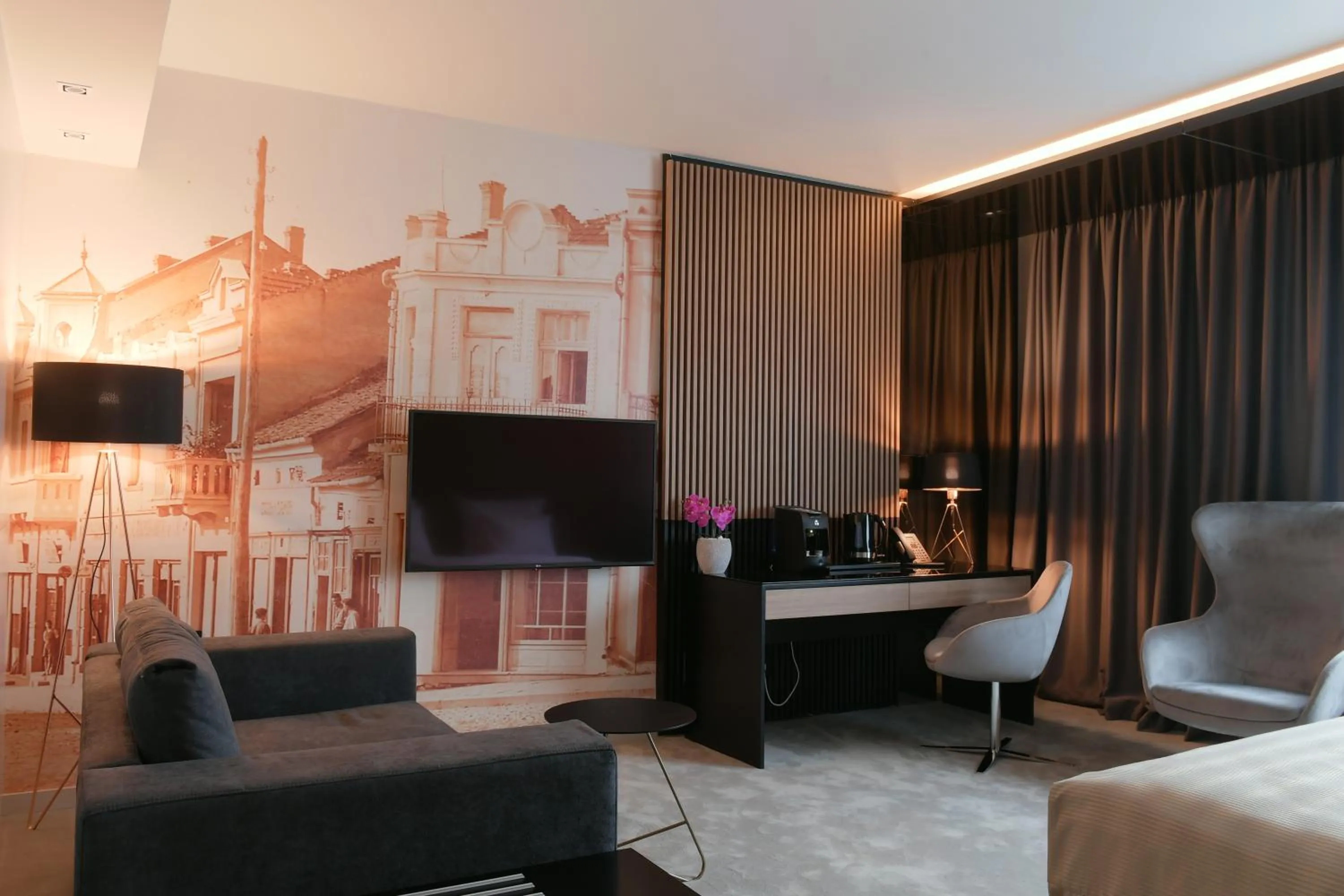 TV and multimedia in Hotel Royal Putnik