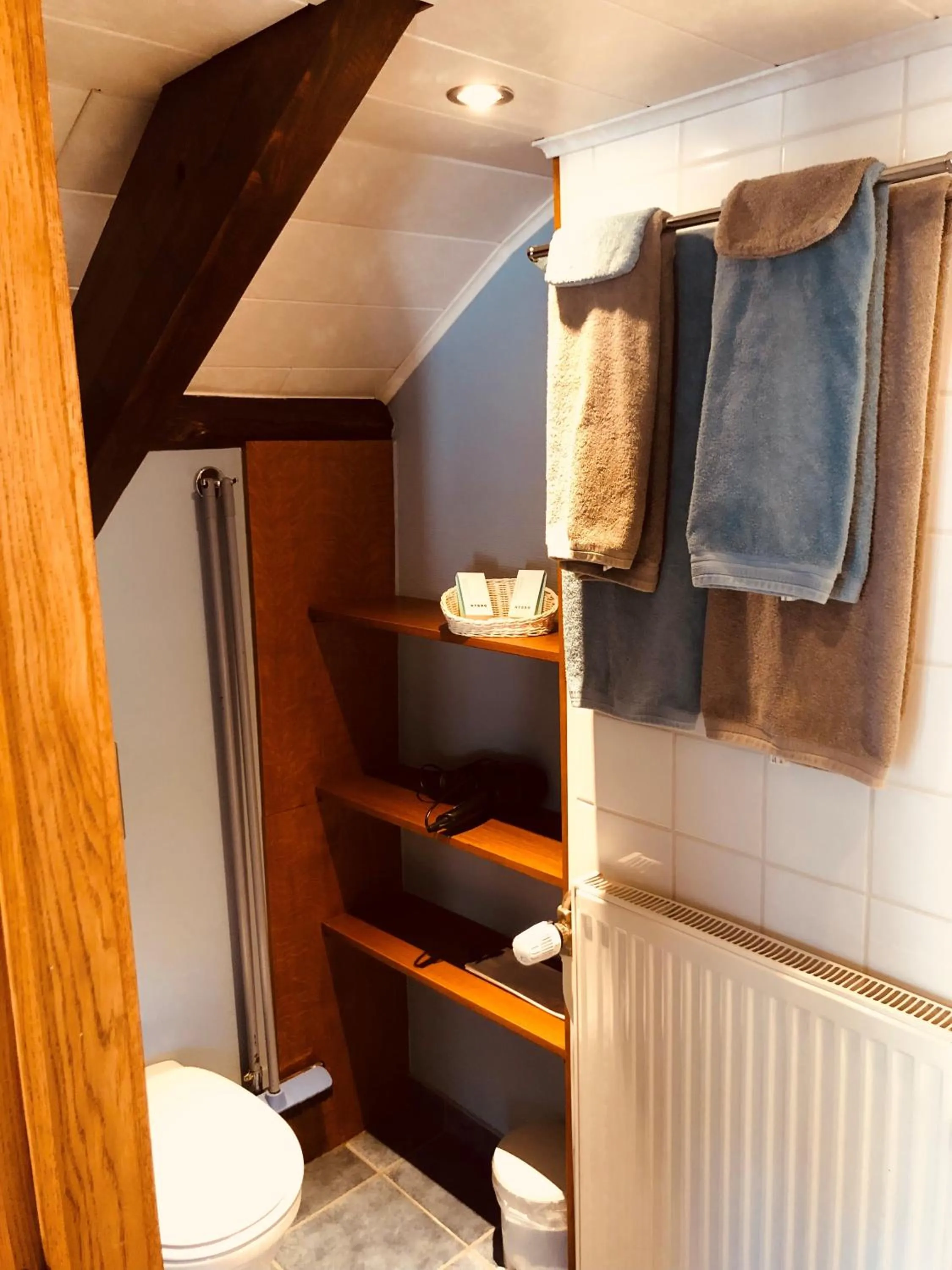 Toilet in Appart Hotel Au Pied de Vigne