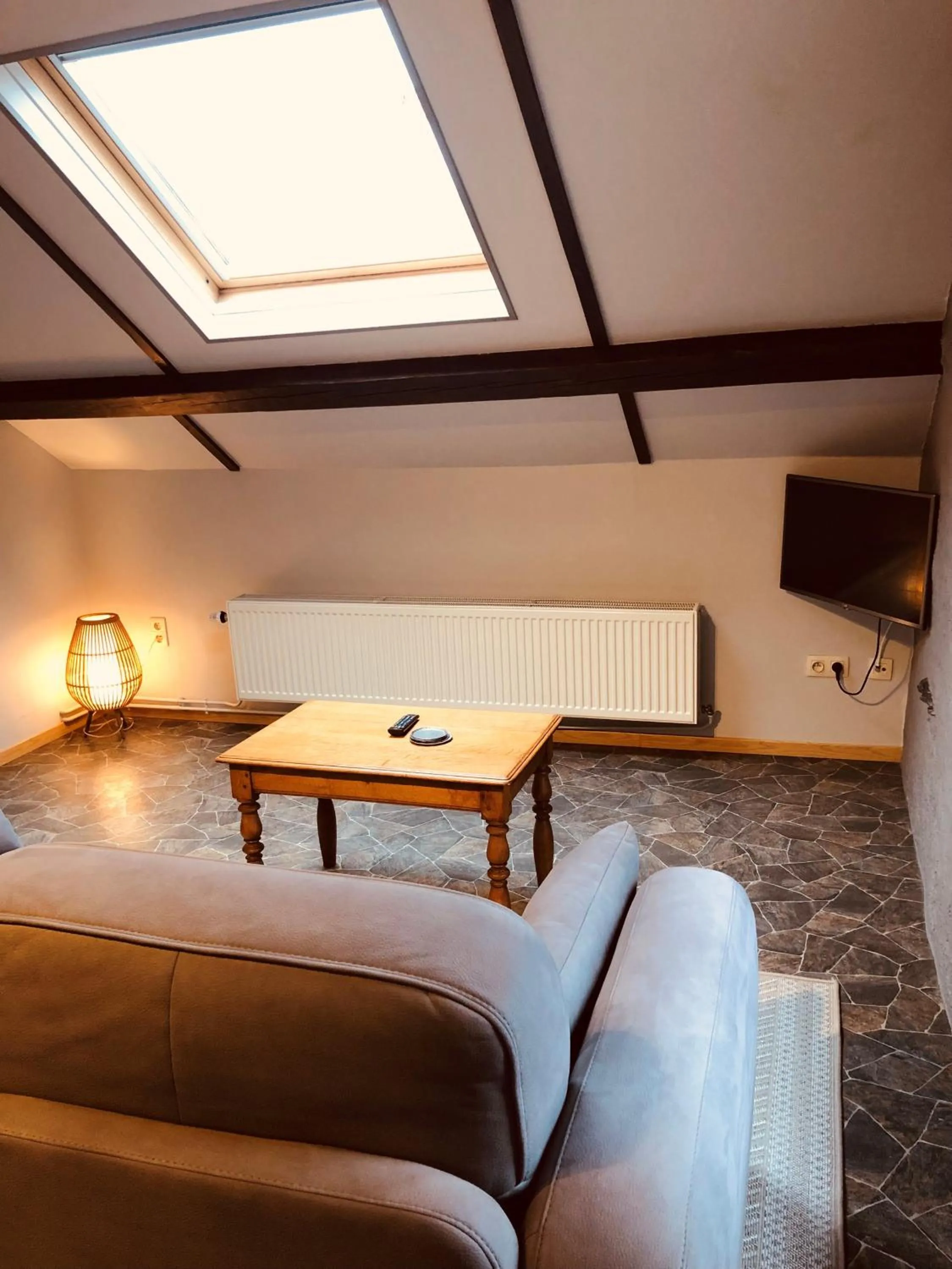 TV and multimedia in Appart Hotel Au Pied de Vigne