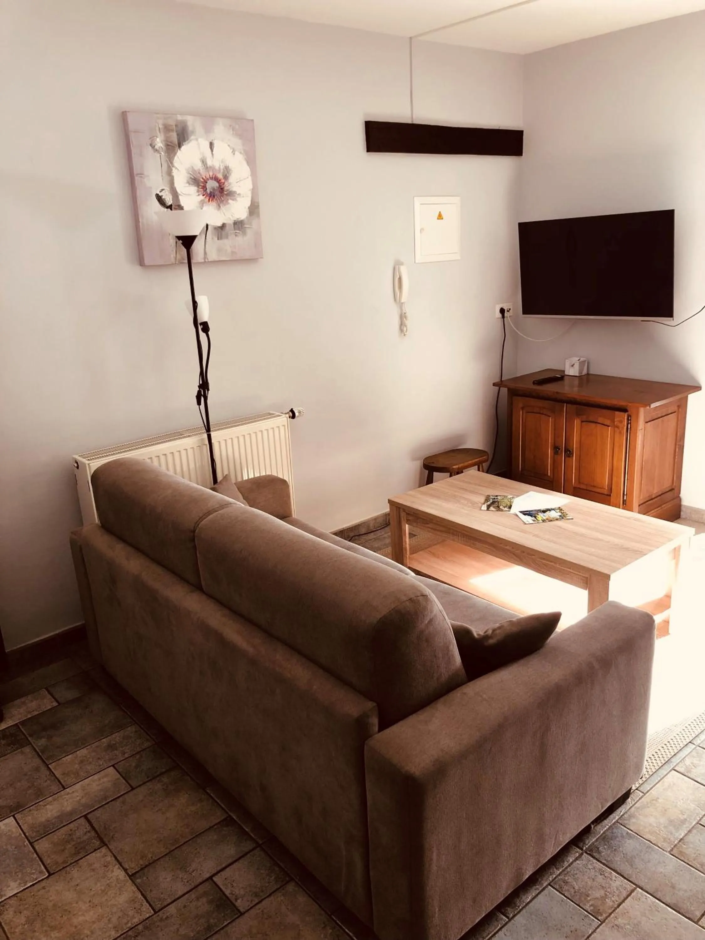 TV and multimedia in Appart Hotel Au Pied de Vigne