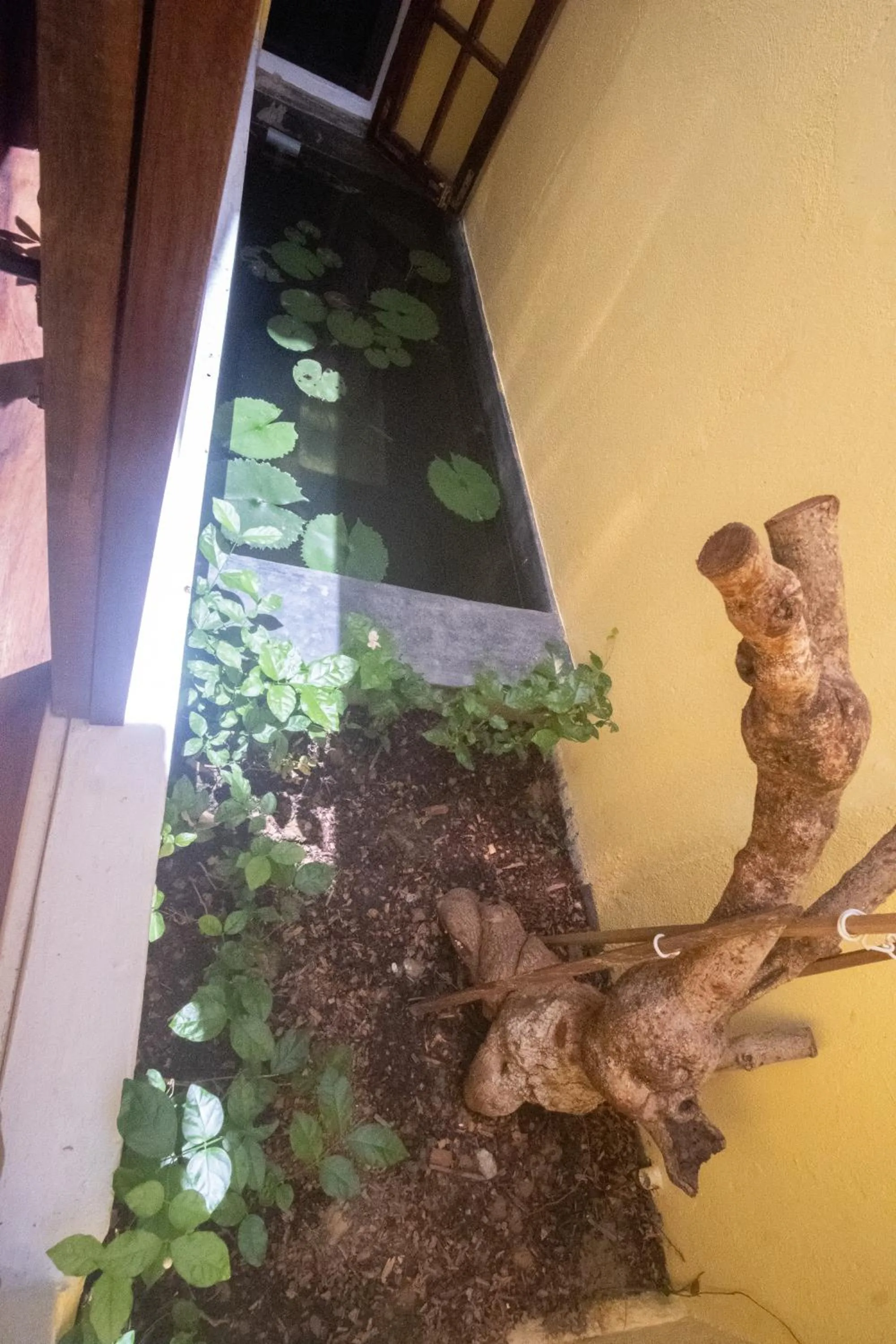 Decorative detail in Leranda Homestay