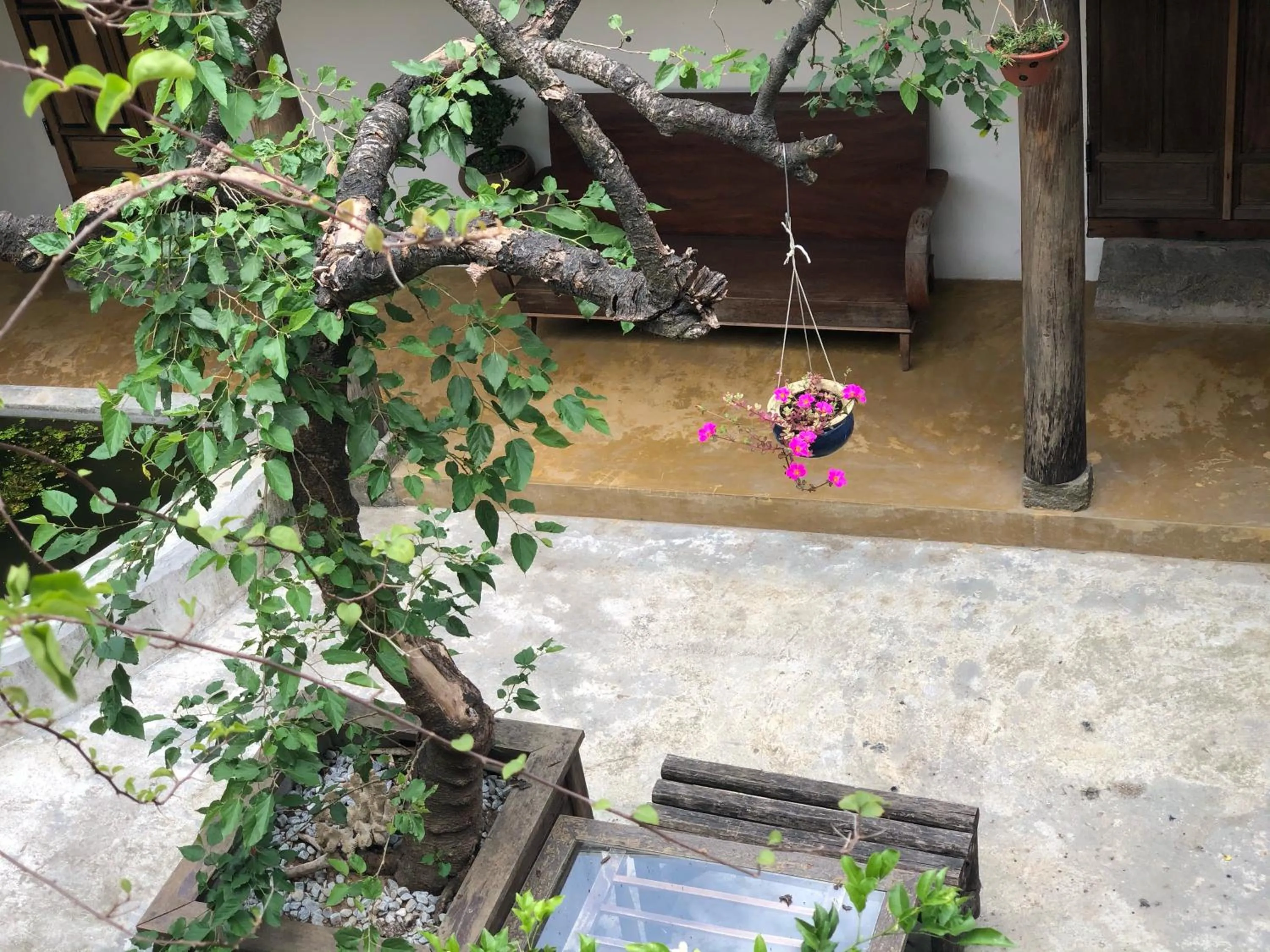 Property building in Leranda Homestay