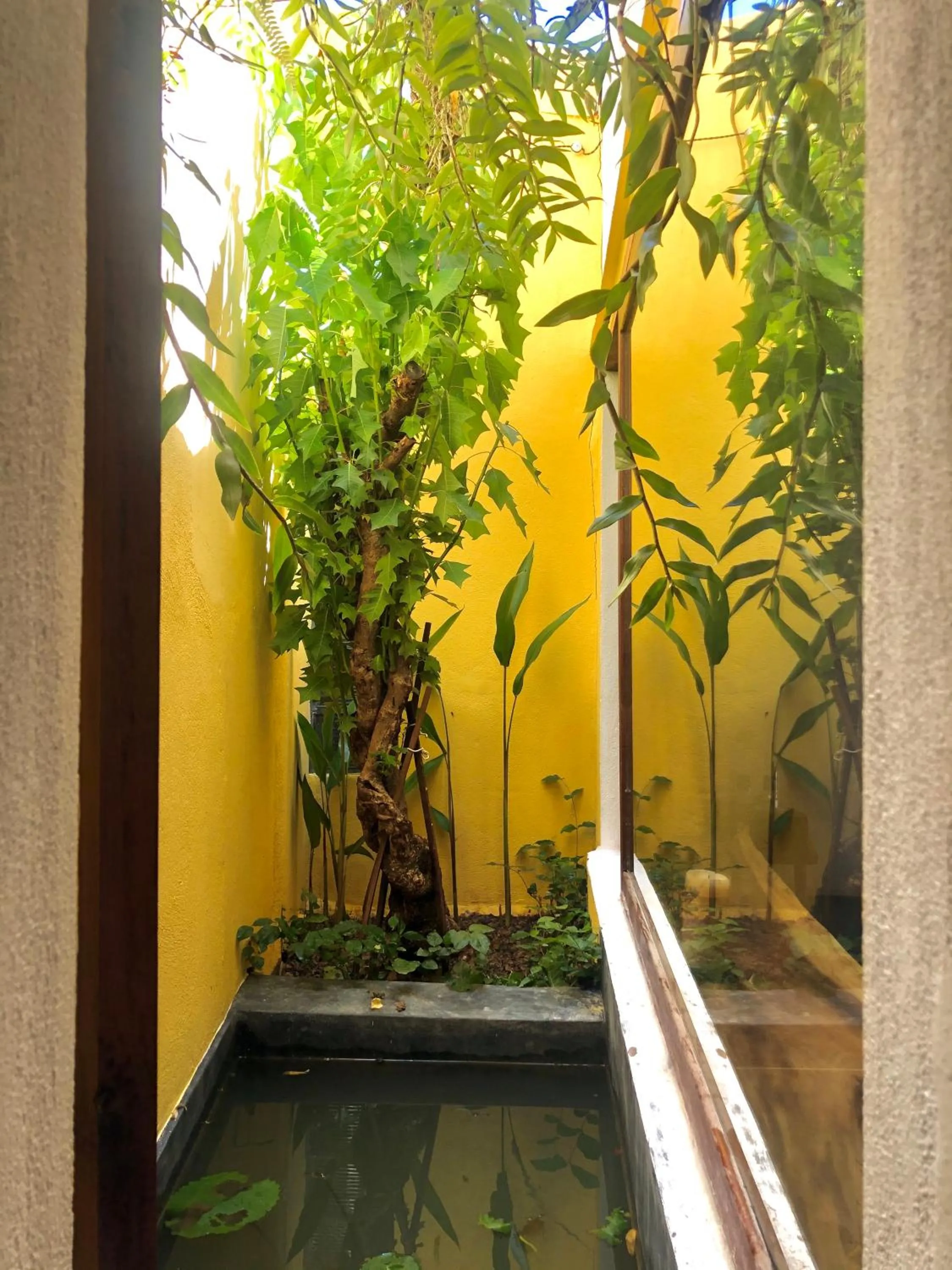 Garden in Leranda Homestay