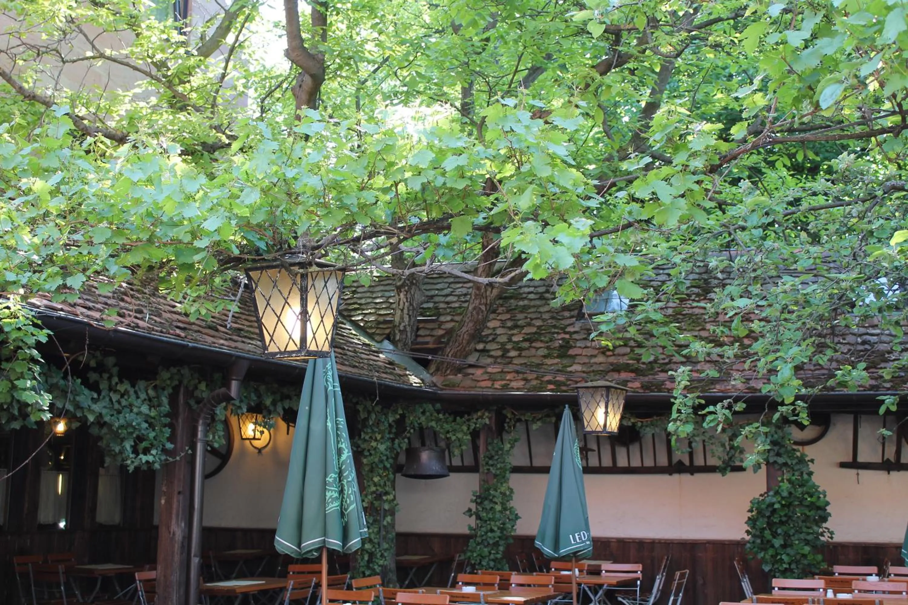 Patio in Hotel Petzengarten