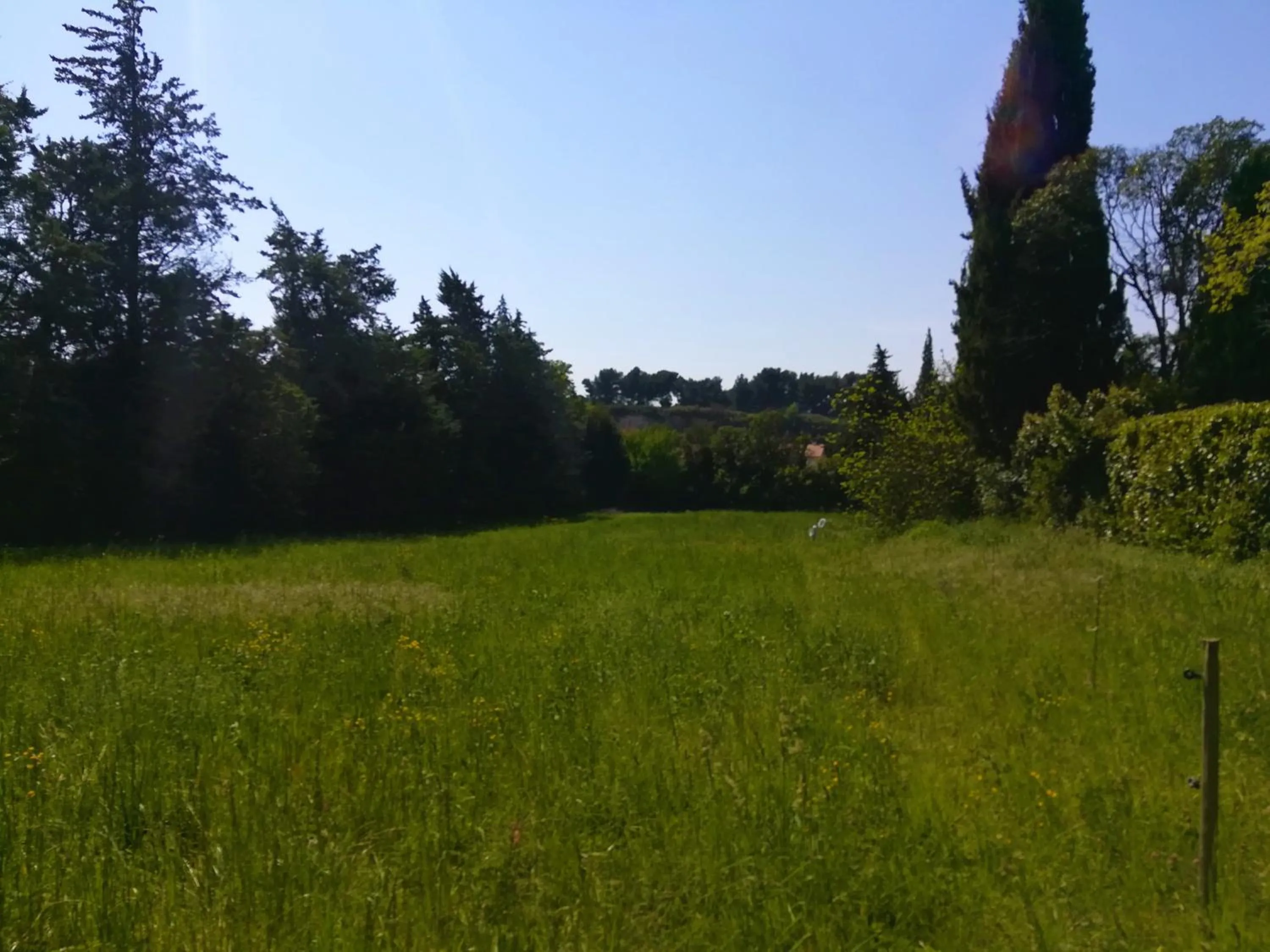 Garden in Embarben Maison d'hôtes