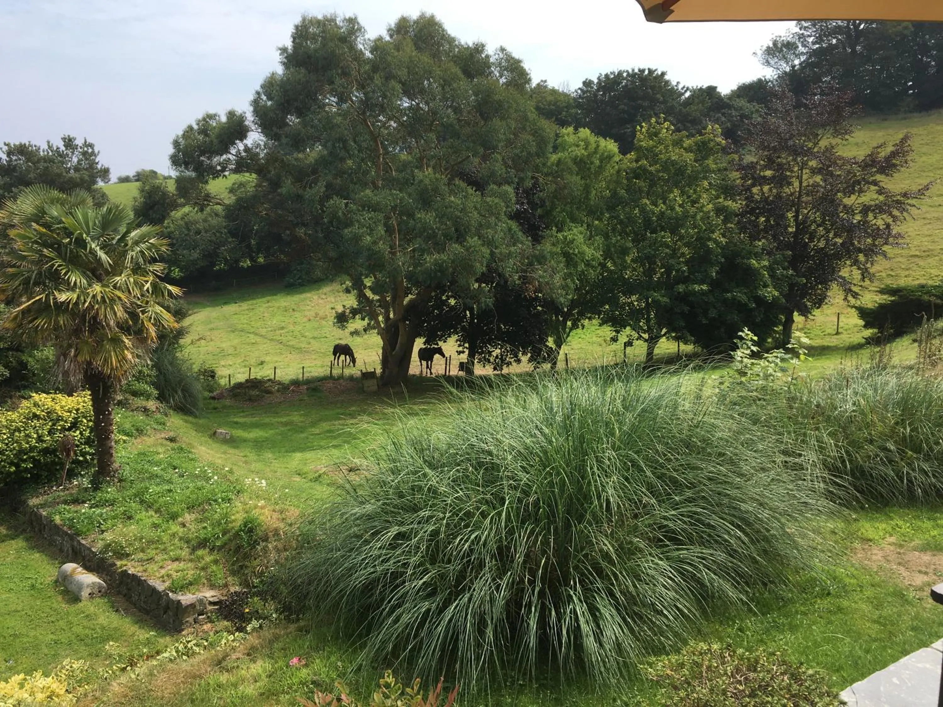 Garden in Kerryanna Country House Bed and Breakfast