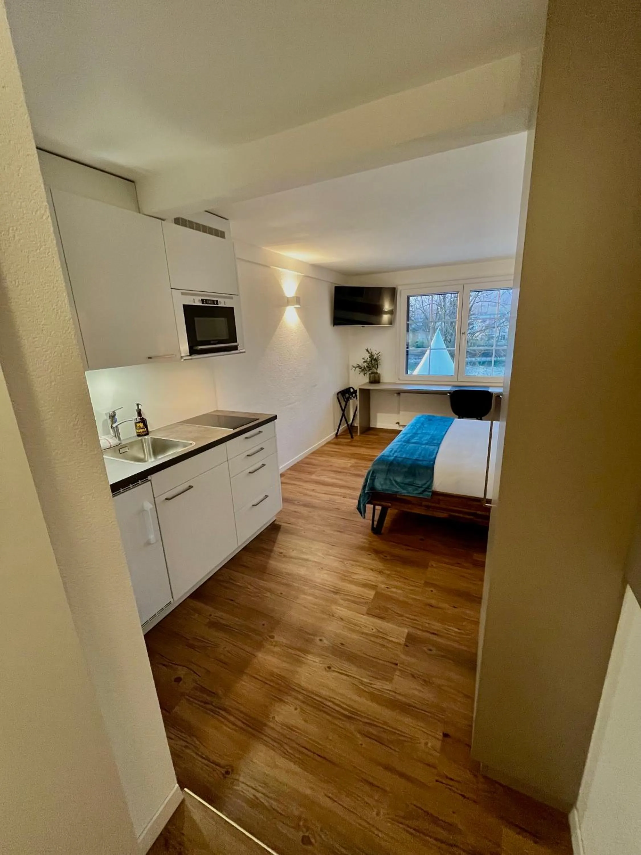 Kitchen or kitchenette in Apart-Hôtel Pont-de-Thielle