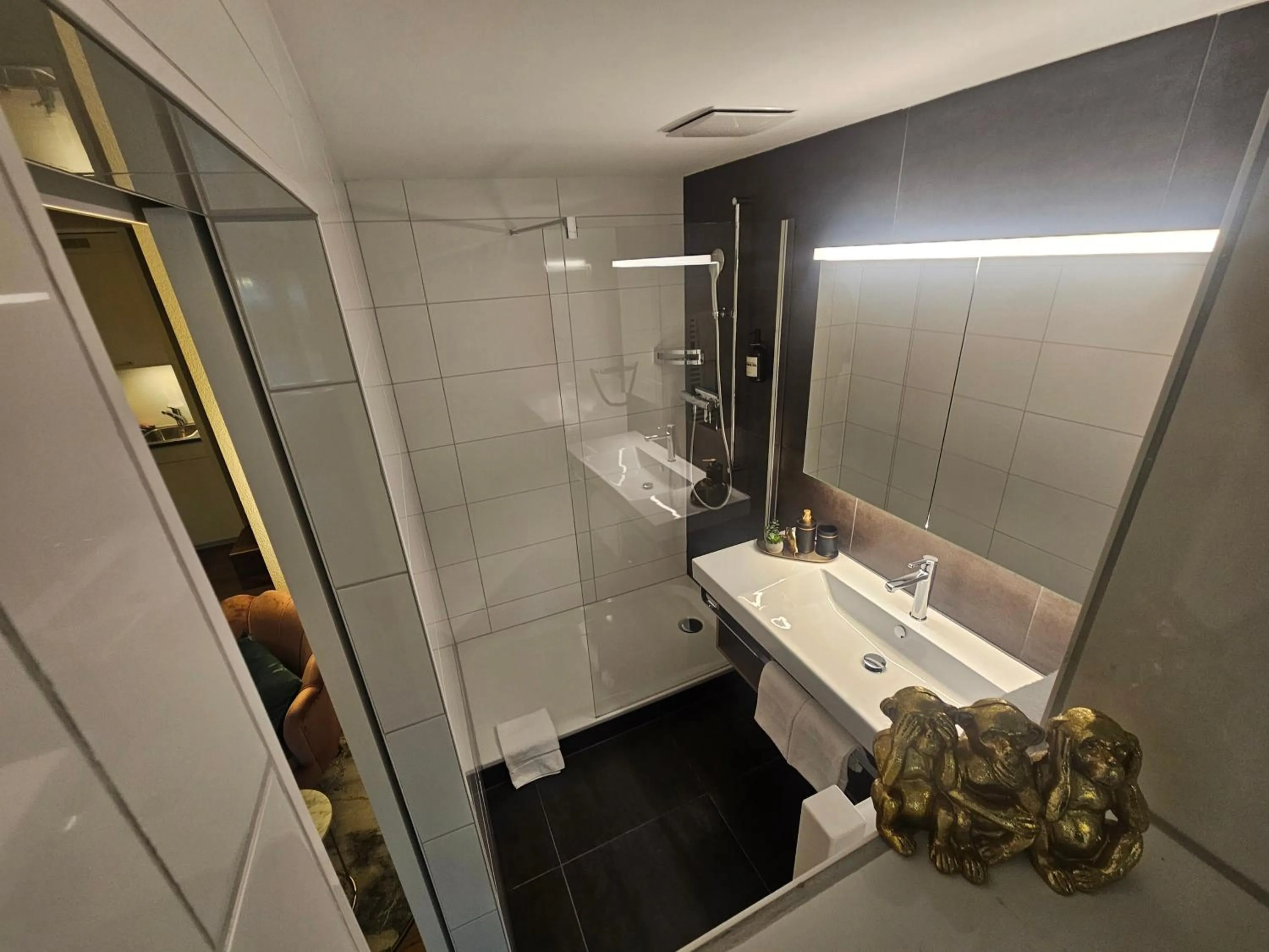 Shower in Apart-Hôtel Pont-de-Thielle