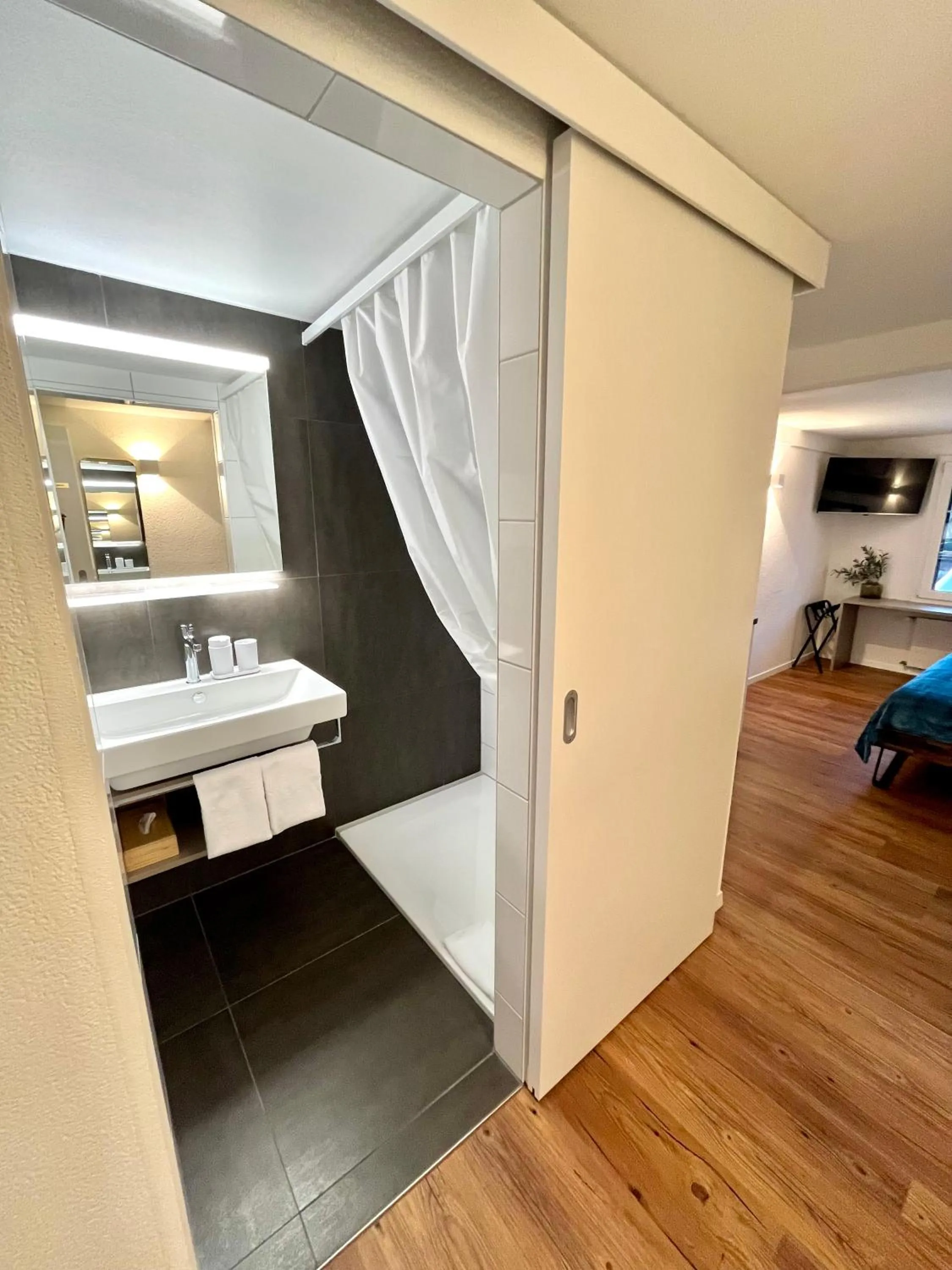 Bathroom, Bed in Apart-Hôtel Pont-de-Thielle