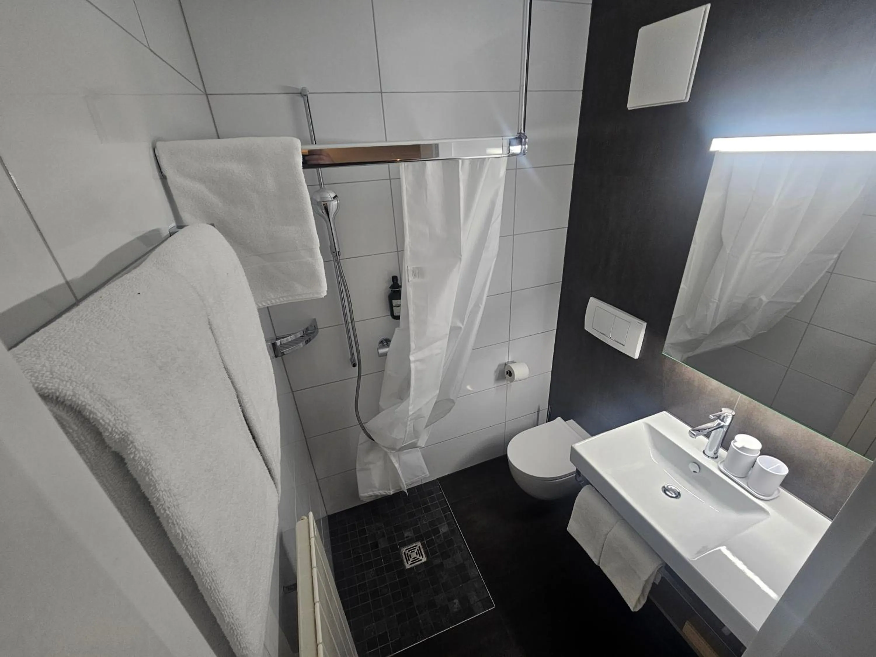 Shower in Apart-Hôtel Pont-de-Thielle