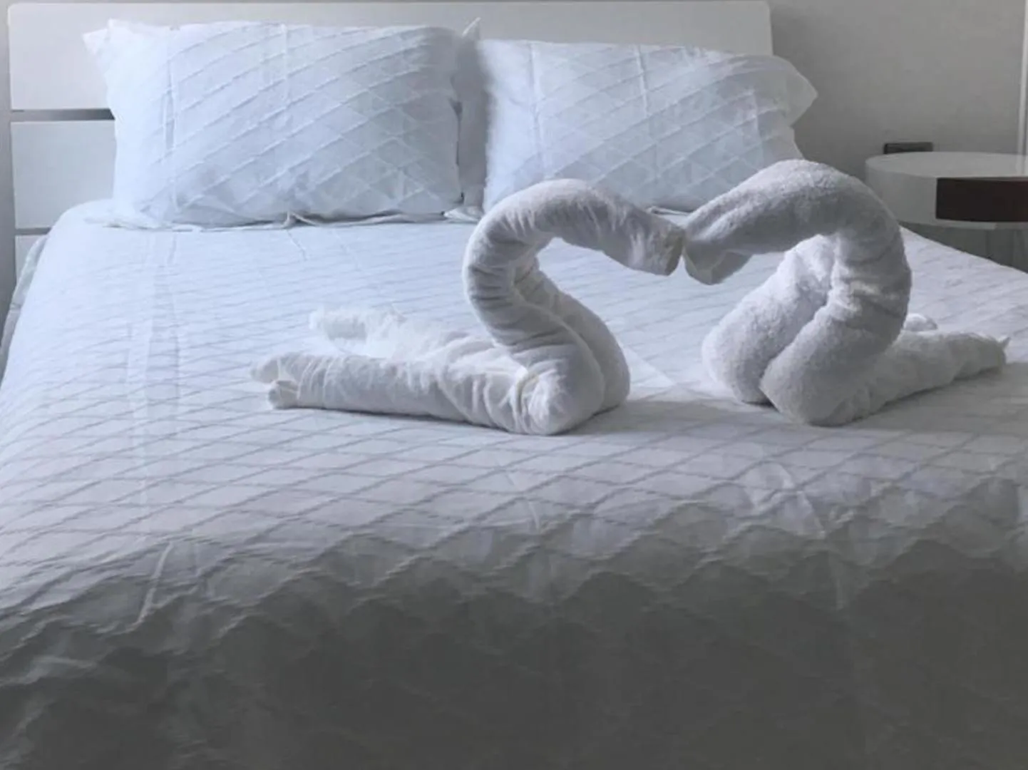 Bed in Palmarena Rooms & Residences - Long Stay Comfort with Parking, Sauna, Gym & Pool - Steps from 5th Avenue