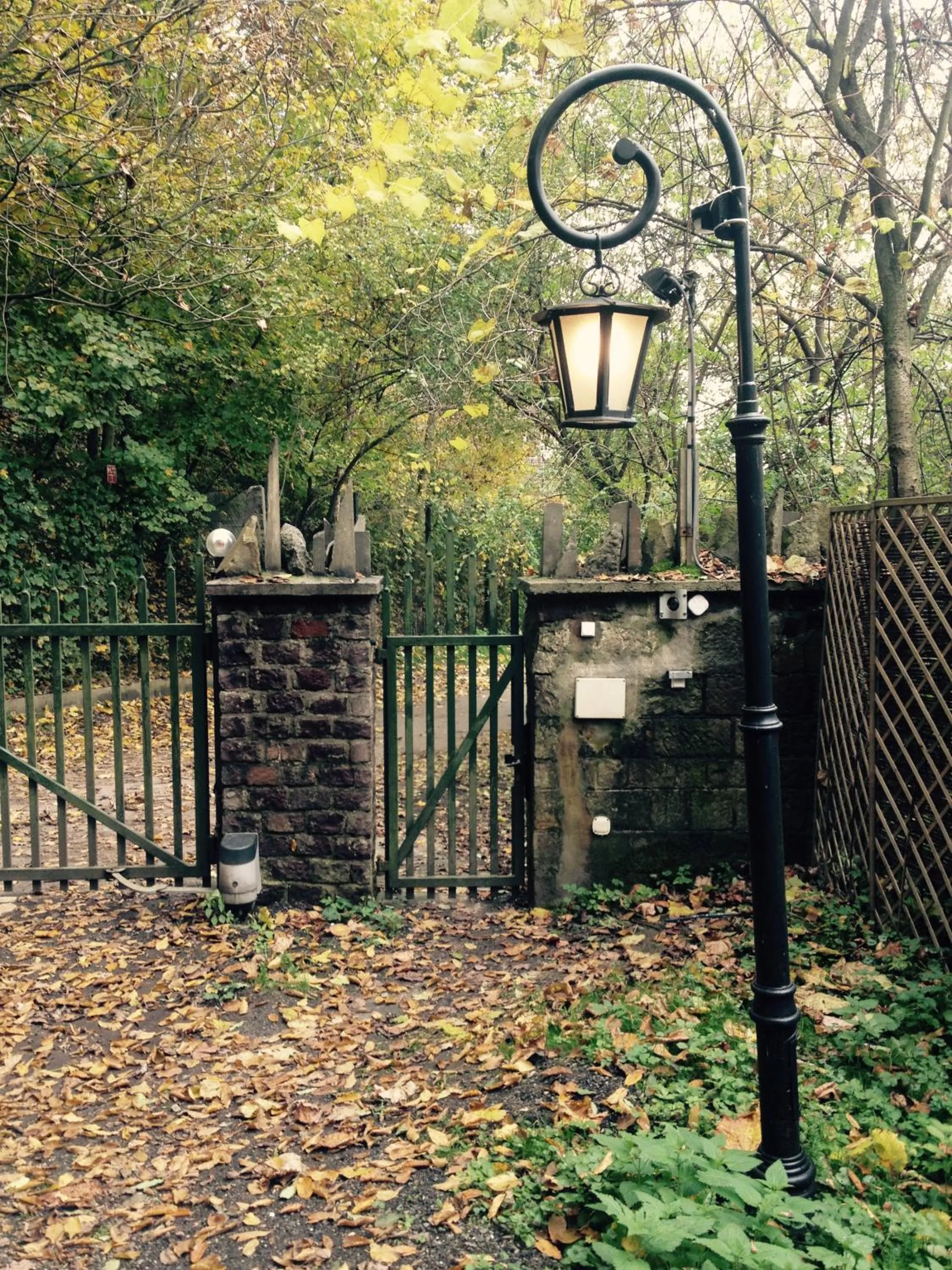 View (from property/room) in Ekosamotnia