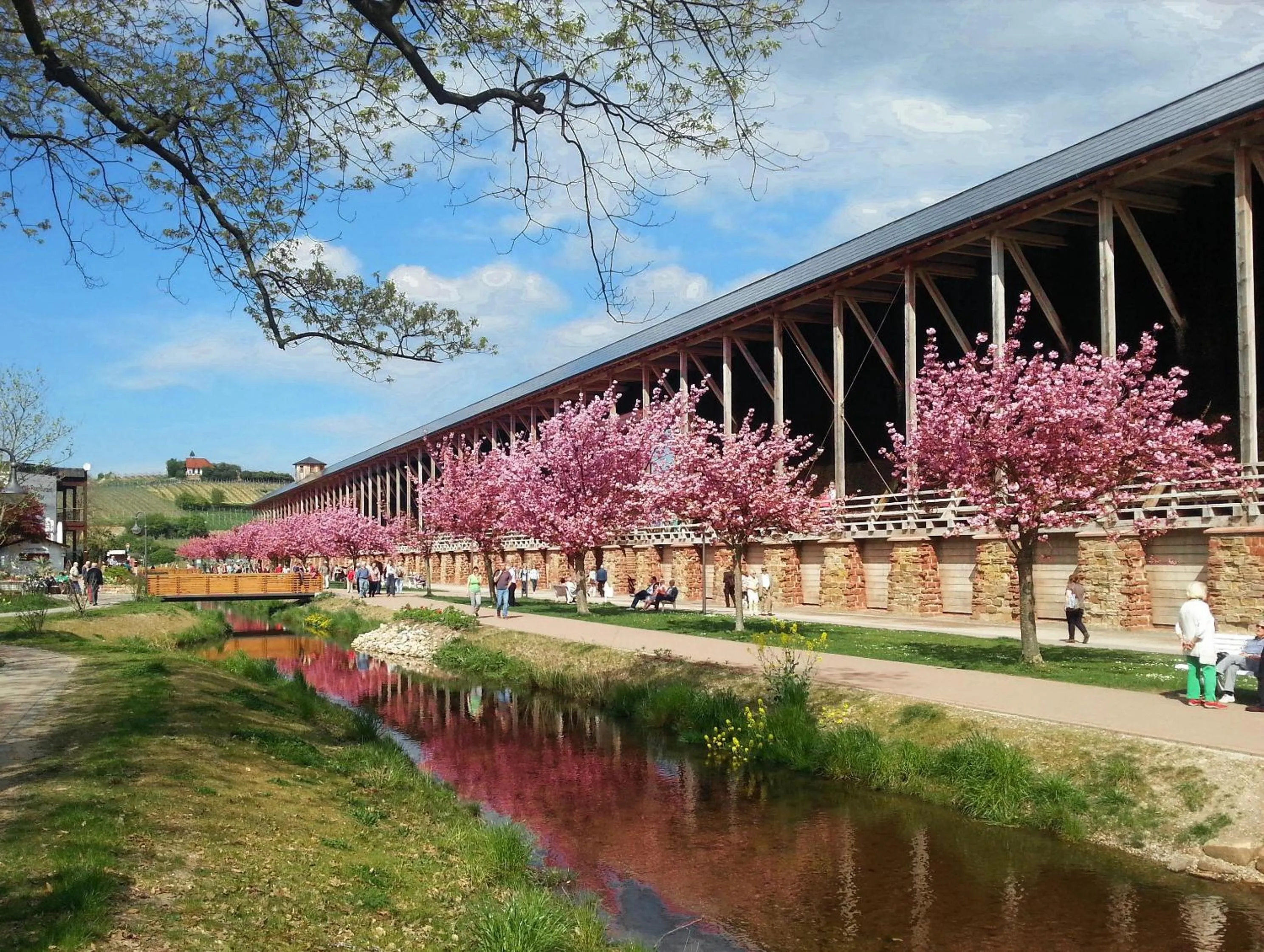Natural landscape in Kurpark-Hotel