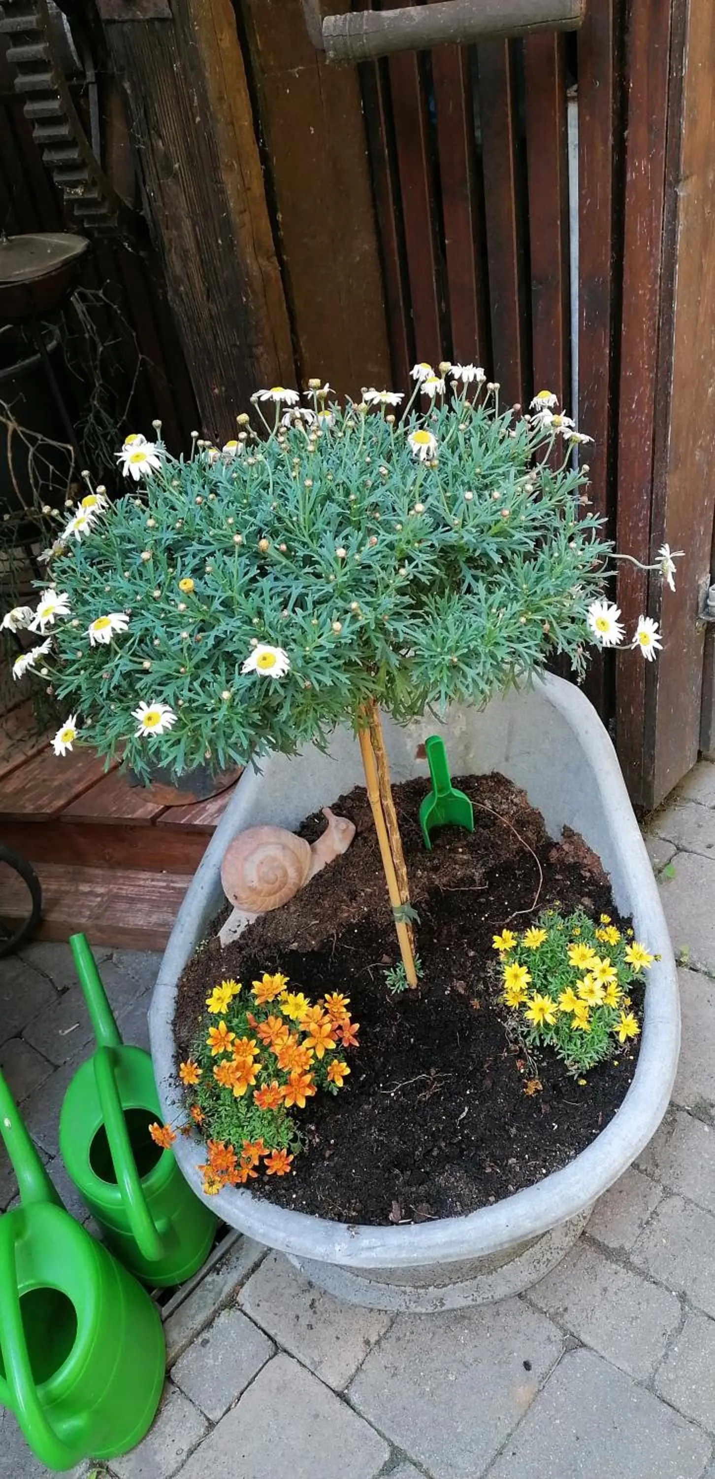 Spring in Adler Gaststube Hotel Biergarten