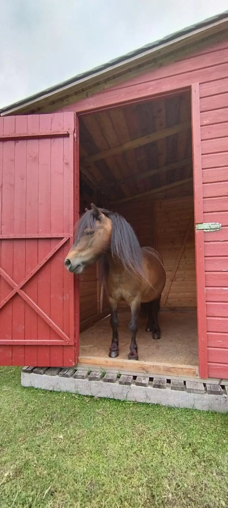 Animals in Hotel Henriettenhof Weimarer Land, Weimar-Bad Berka