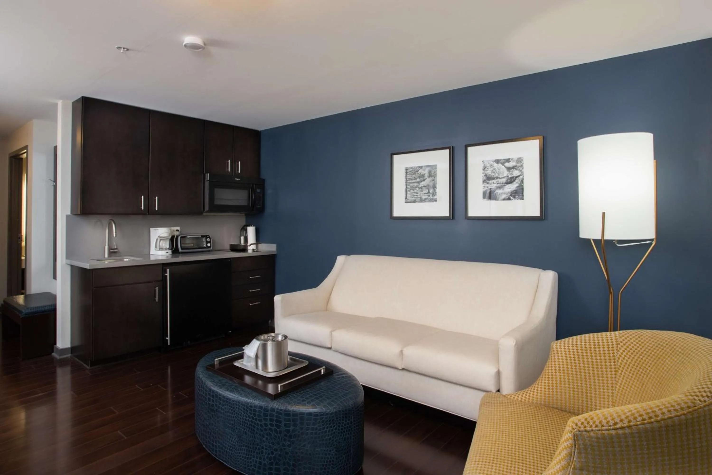 Living room in The Mosey Buffalo Williamsville Tapestry Collection Hilton