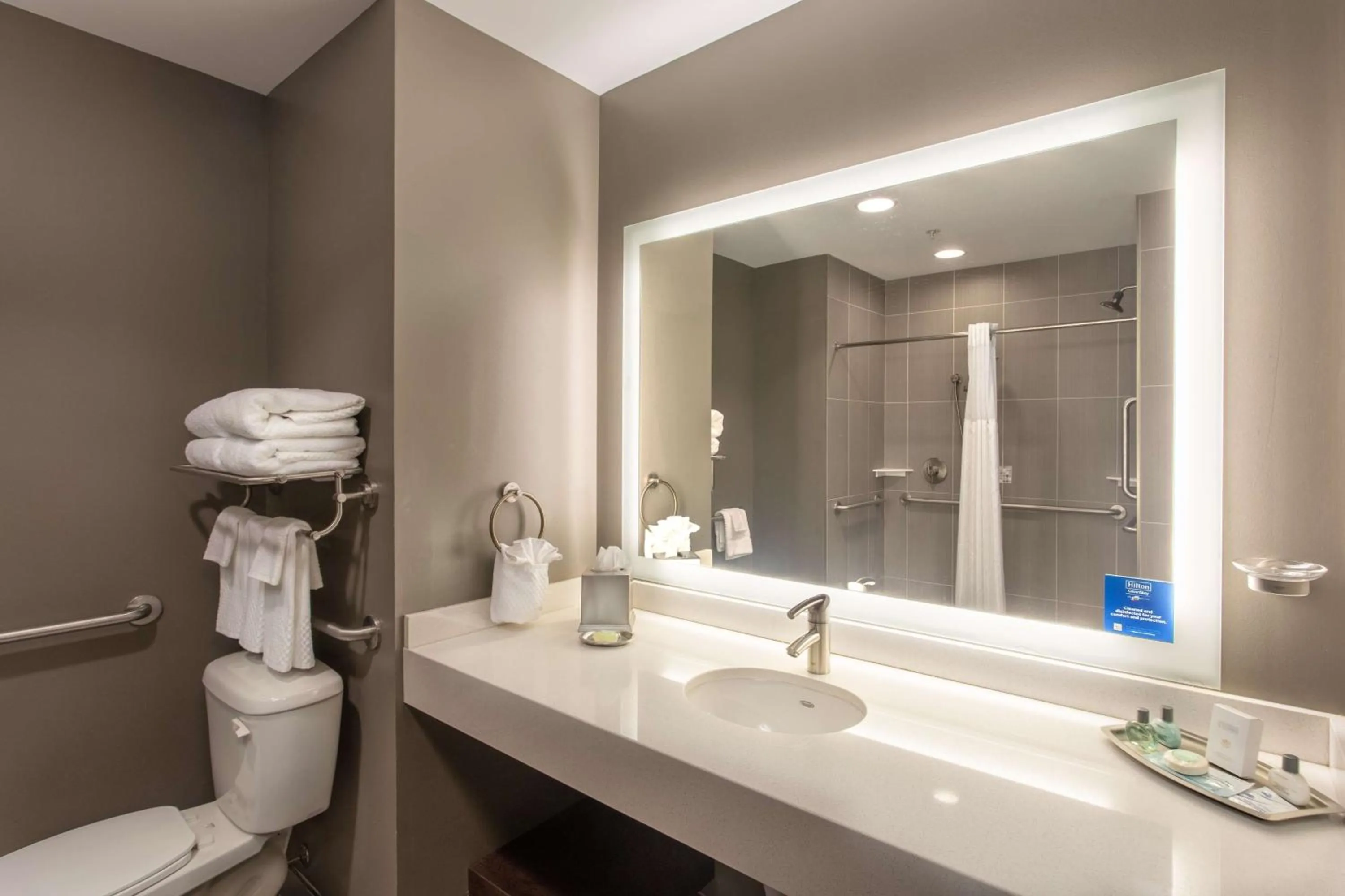 Bathroom in The Mosey Buffalo Williamsville Tapestry Collection Hilton