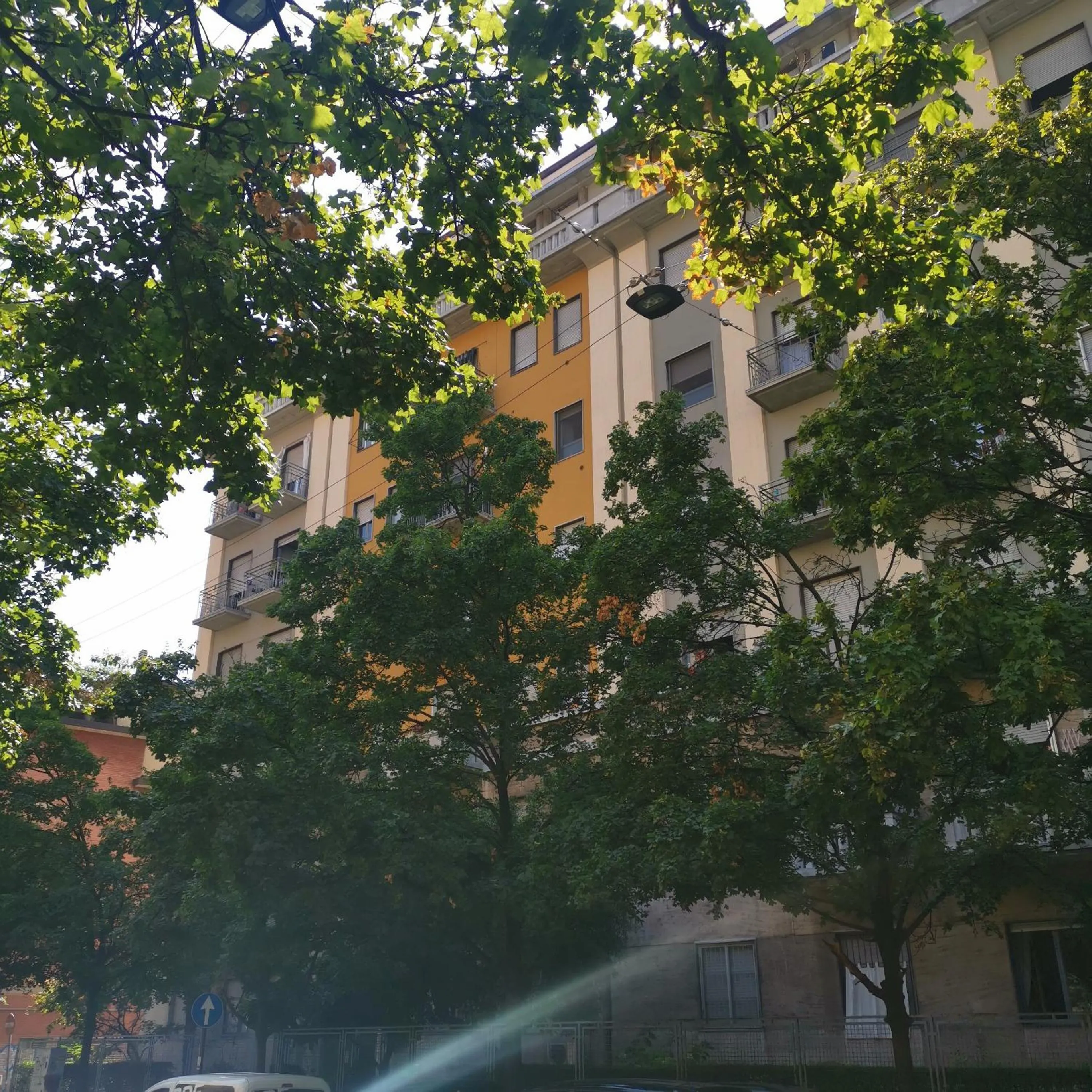 Swimming pool in RED RIBBON