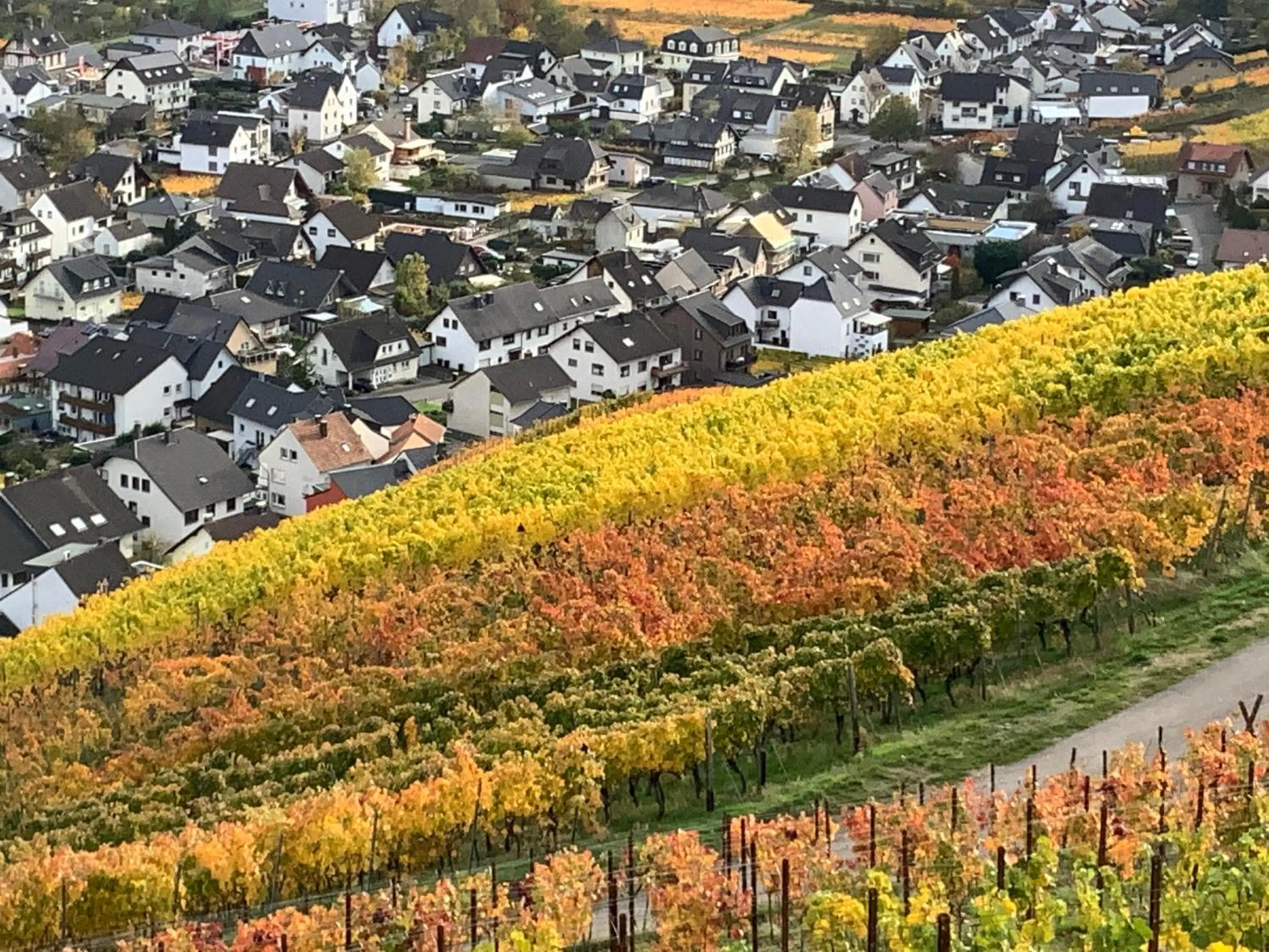 Hiking in RheinVilla ARTE