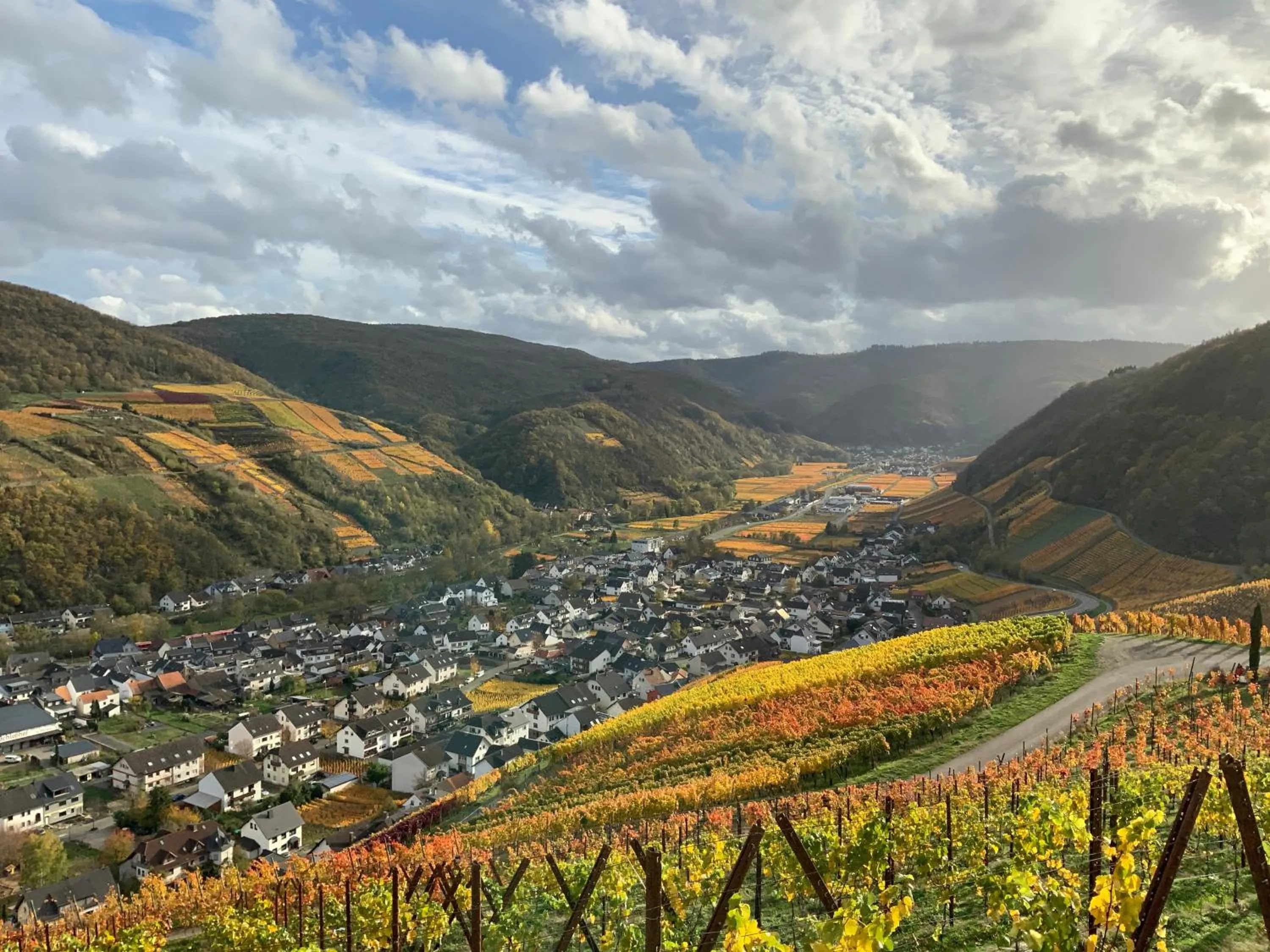 Activities in RheinVilla ARTE