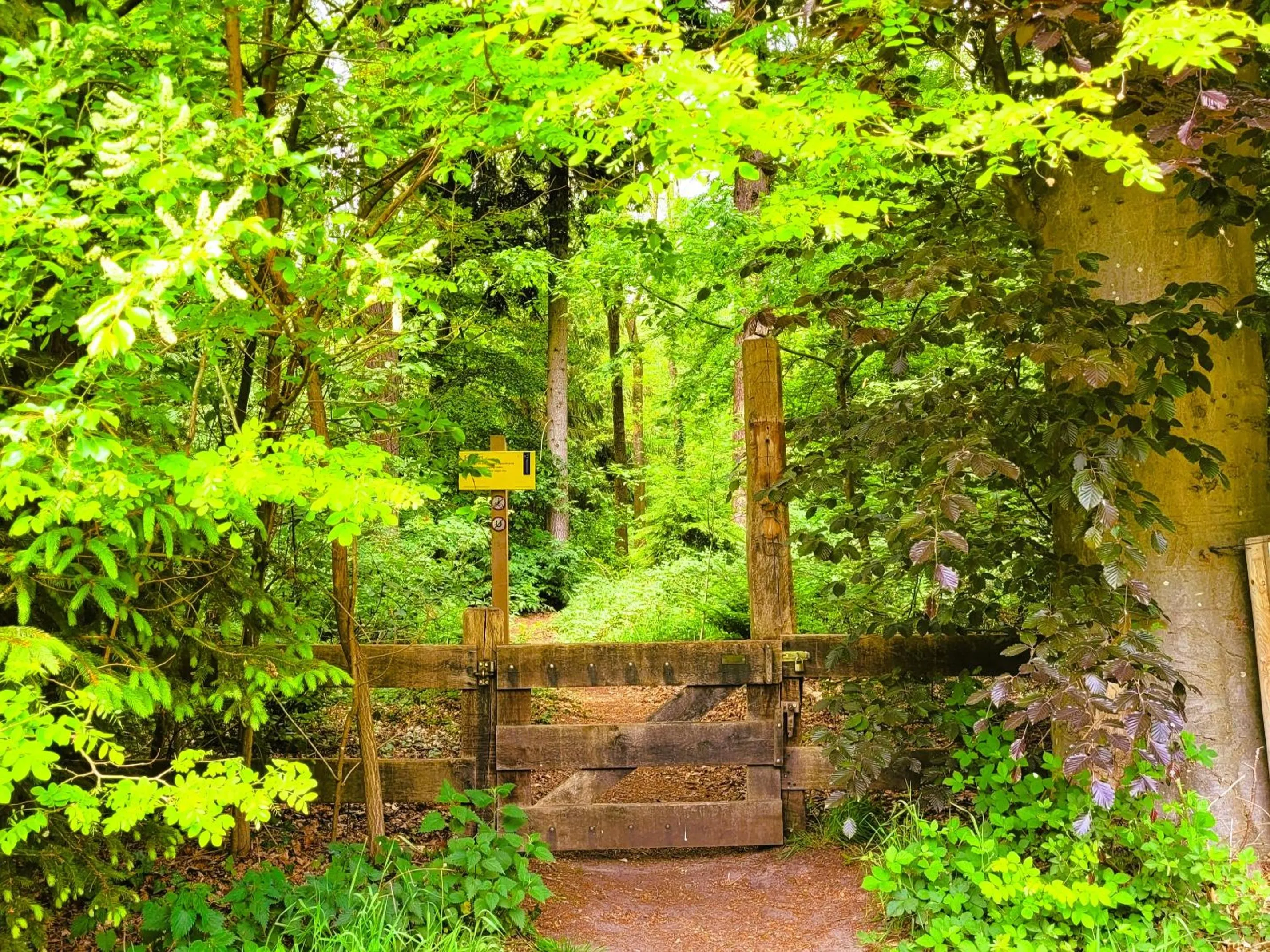 Garden in 't Buitenverblijf Erve Punte