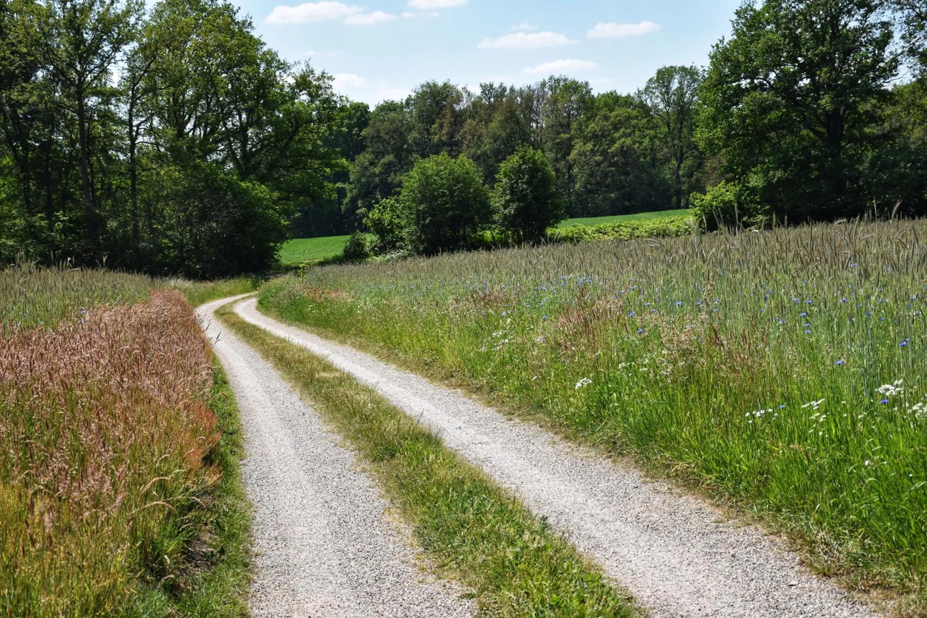 Spring in 't Buitenverblijf Erve Punte