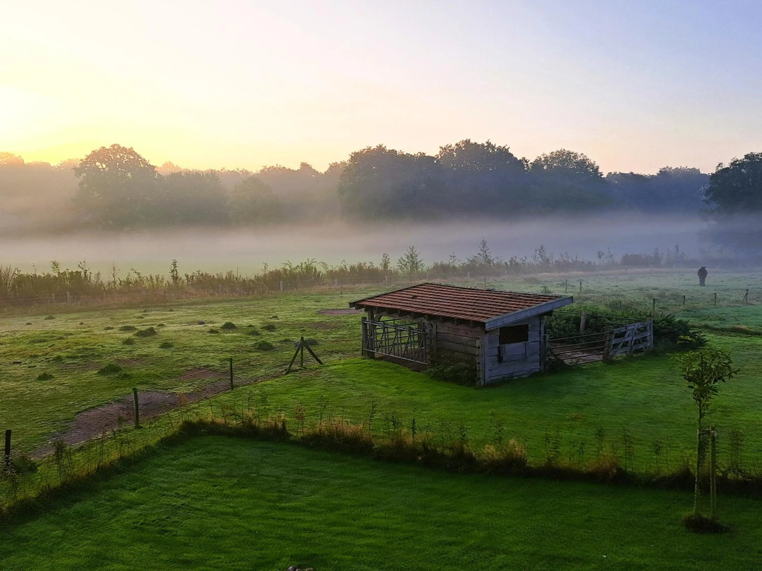 Garden in 't Buitenverblijf Erve Punte
