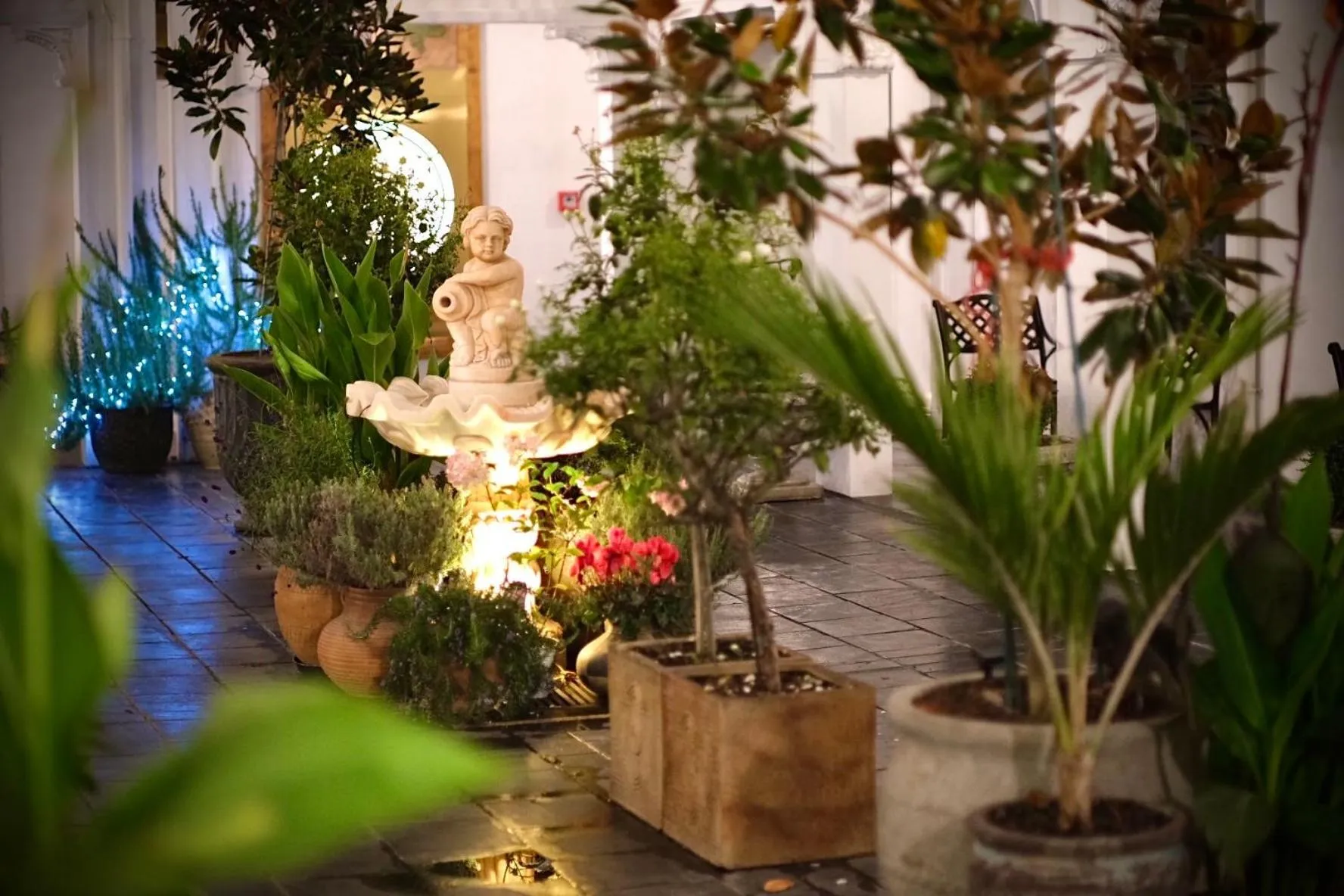 Garden view in The Salisbury