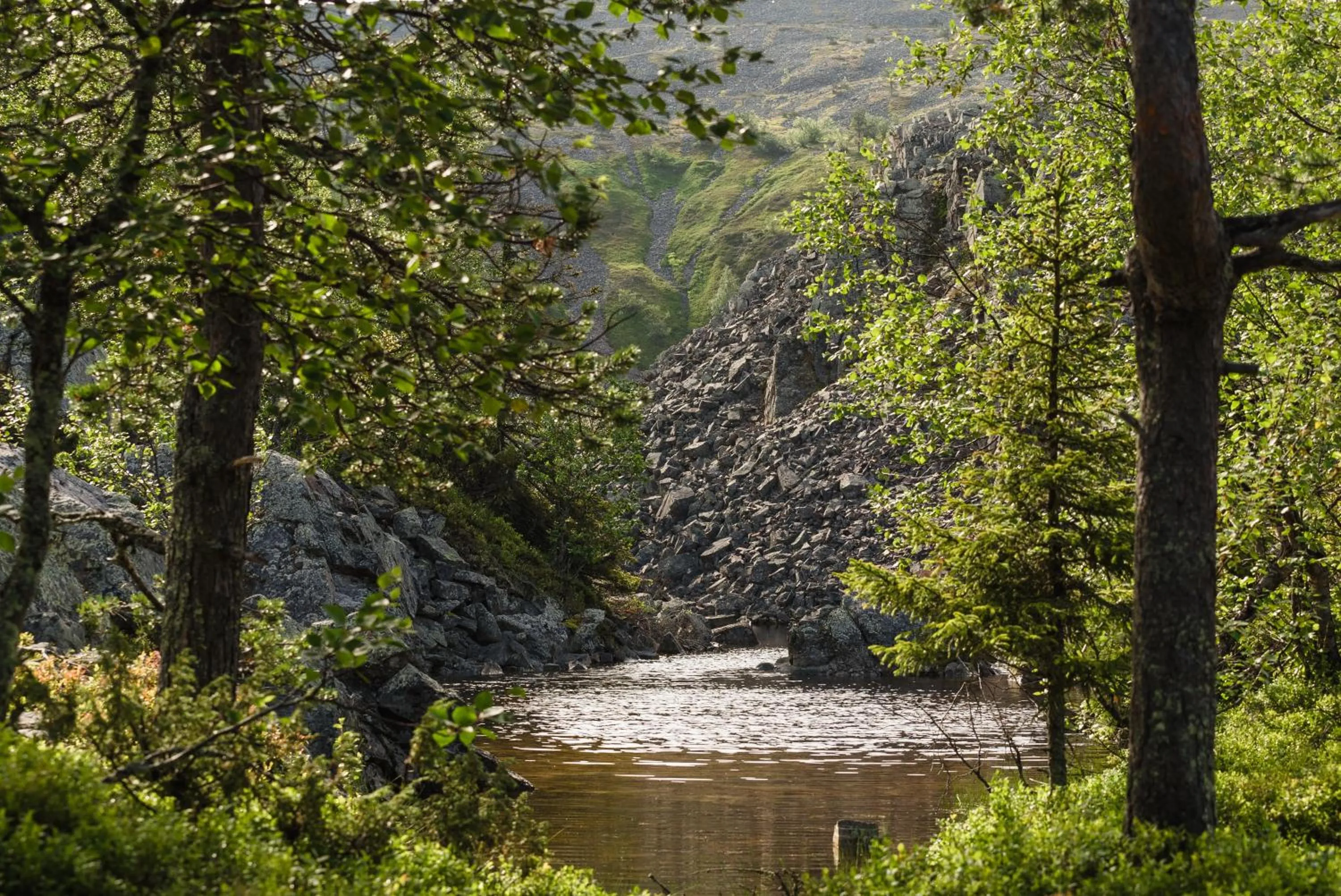 Natural landscape in Ski-Inn PyhäLinna
