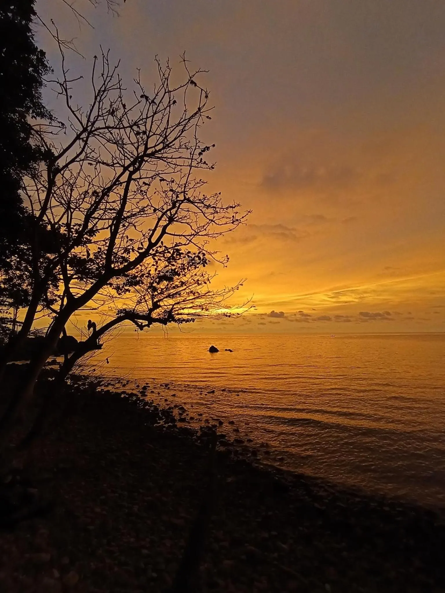 Sunset in Saffron On The Sea Resort