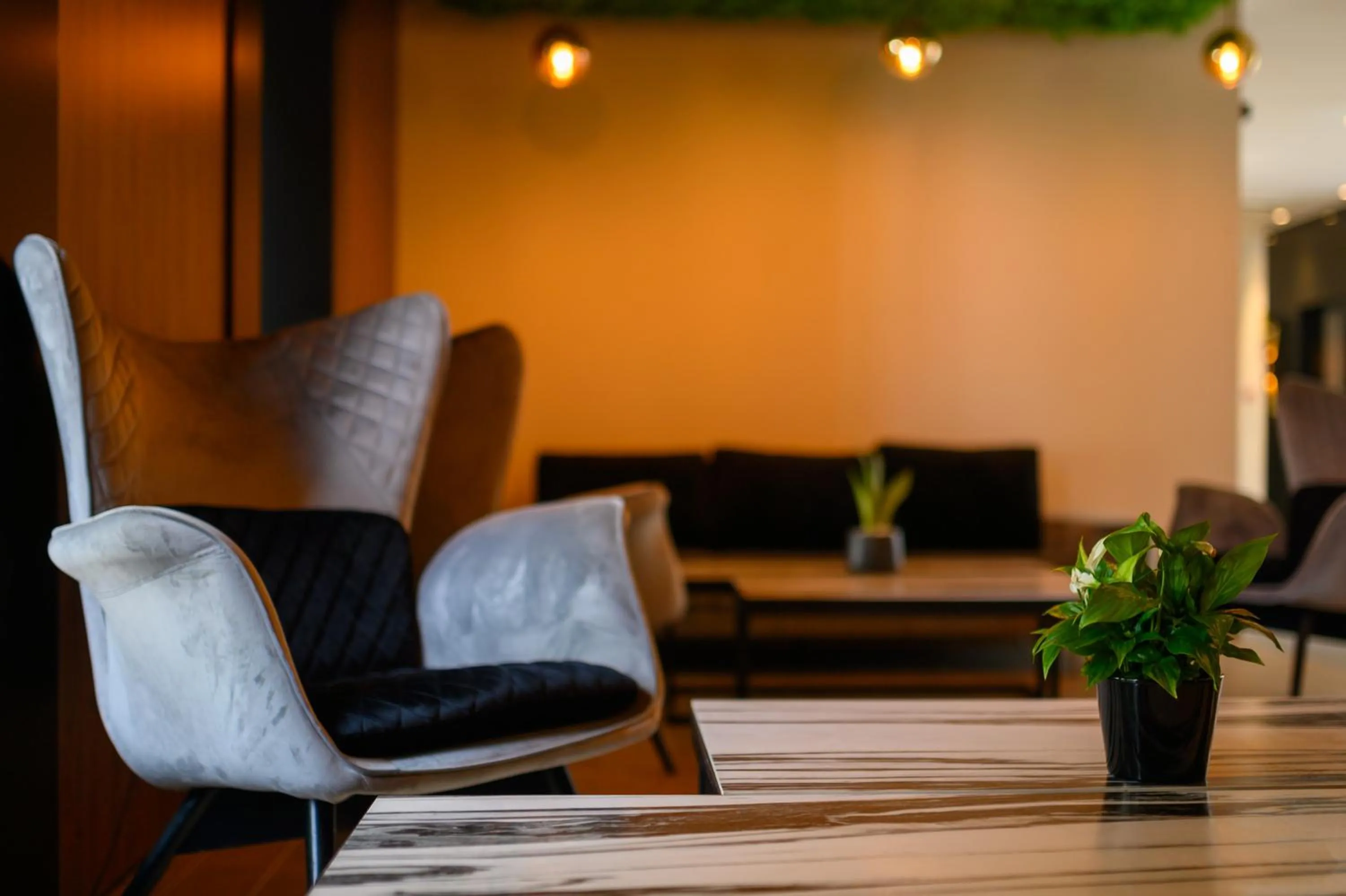 Lobby or reception in Hotel Salis