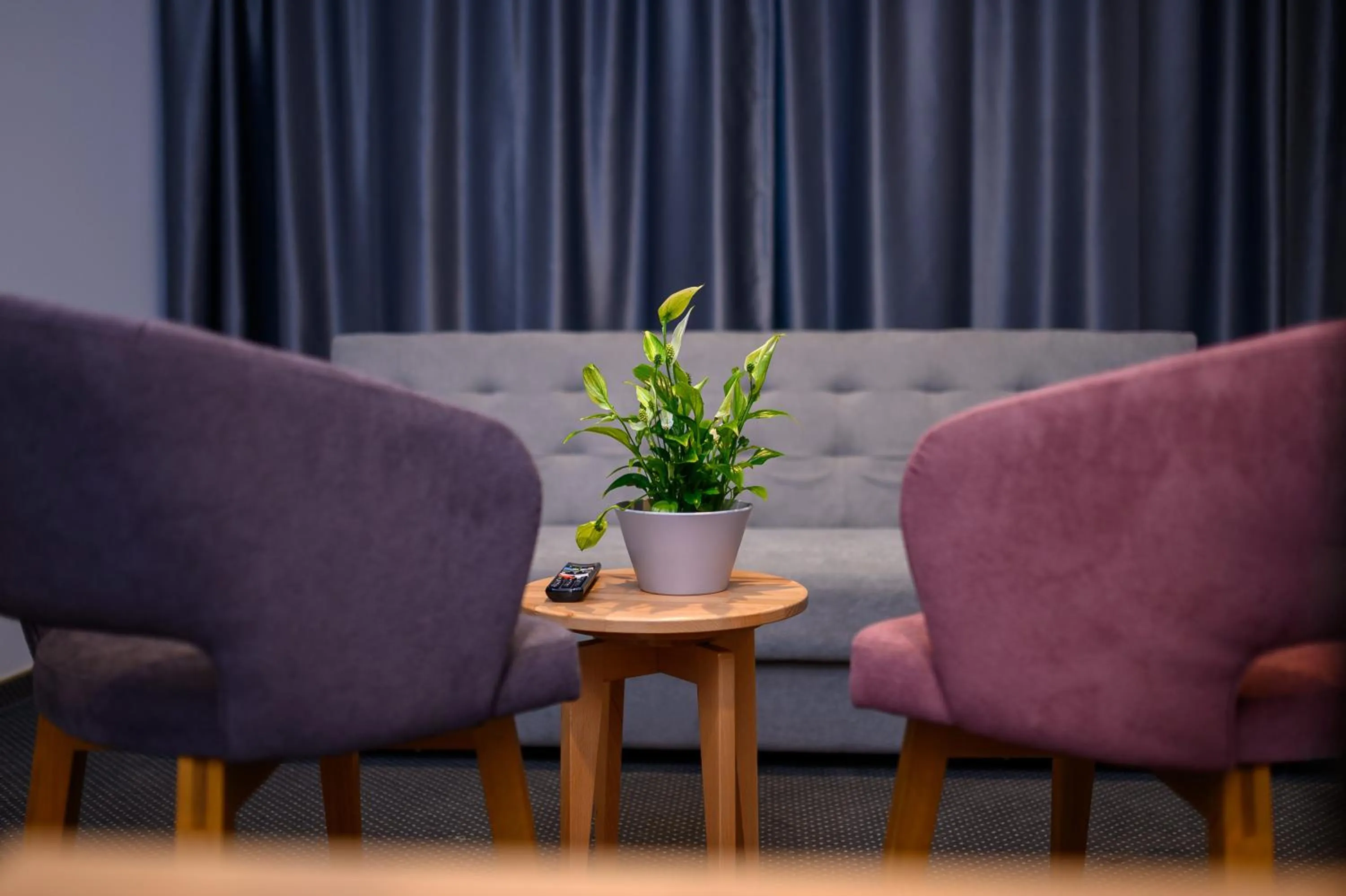 Living room in Hotel Salis