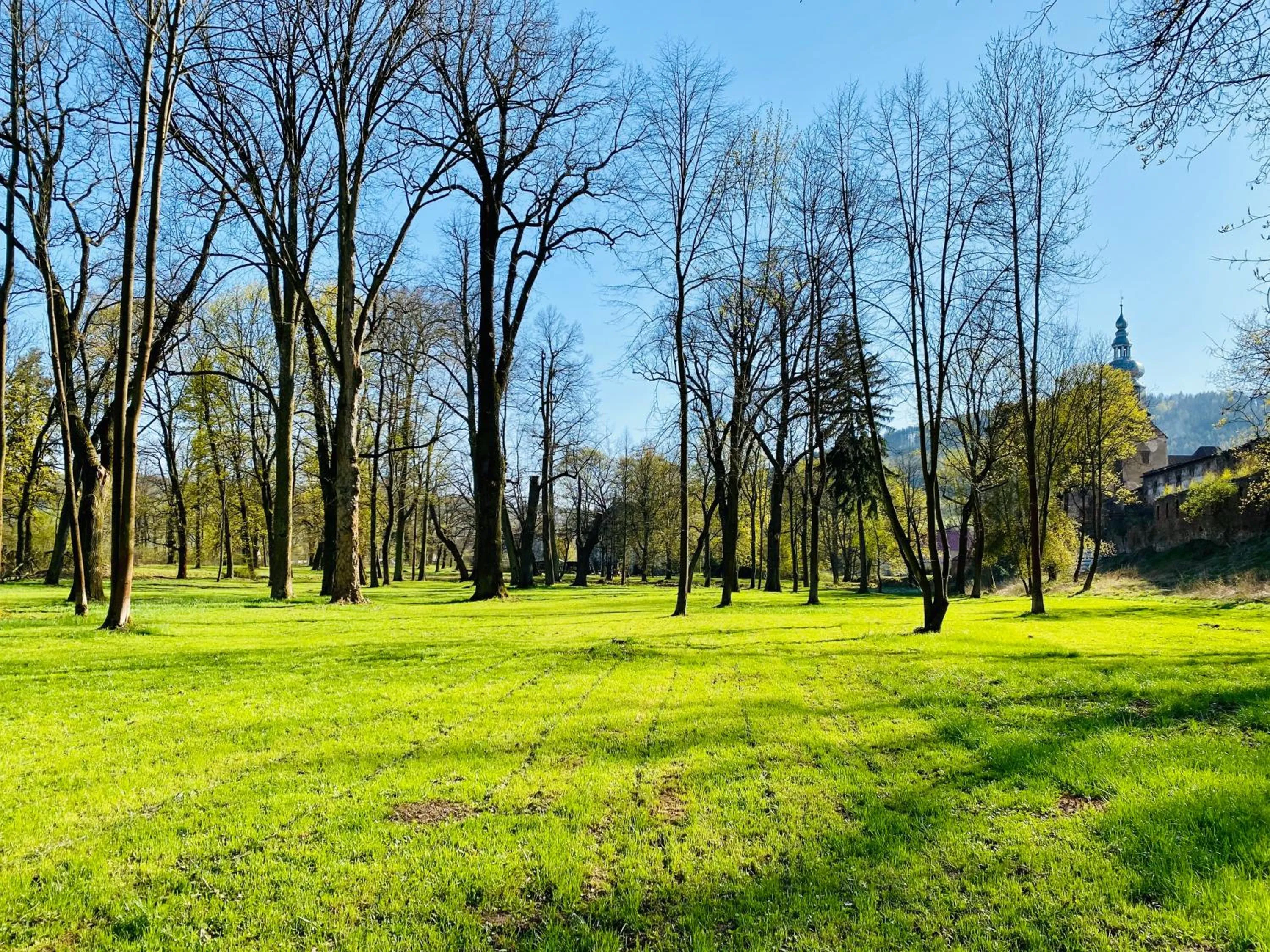 Garden in Zamek Sarny - Schloss Scharfeneck