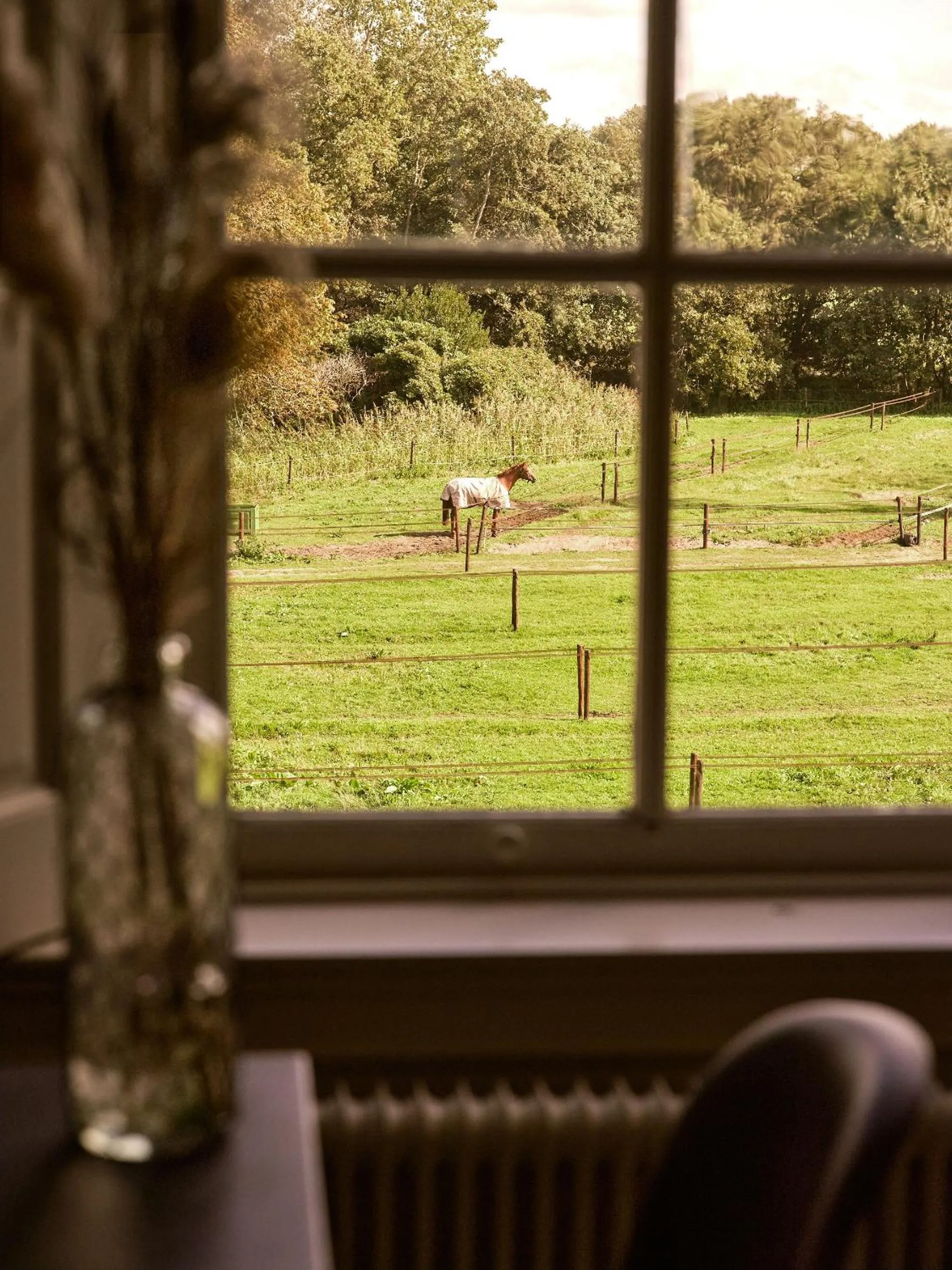 Eco Hotel Plantage Rococo