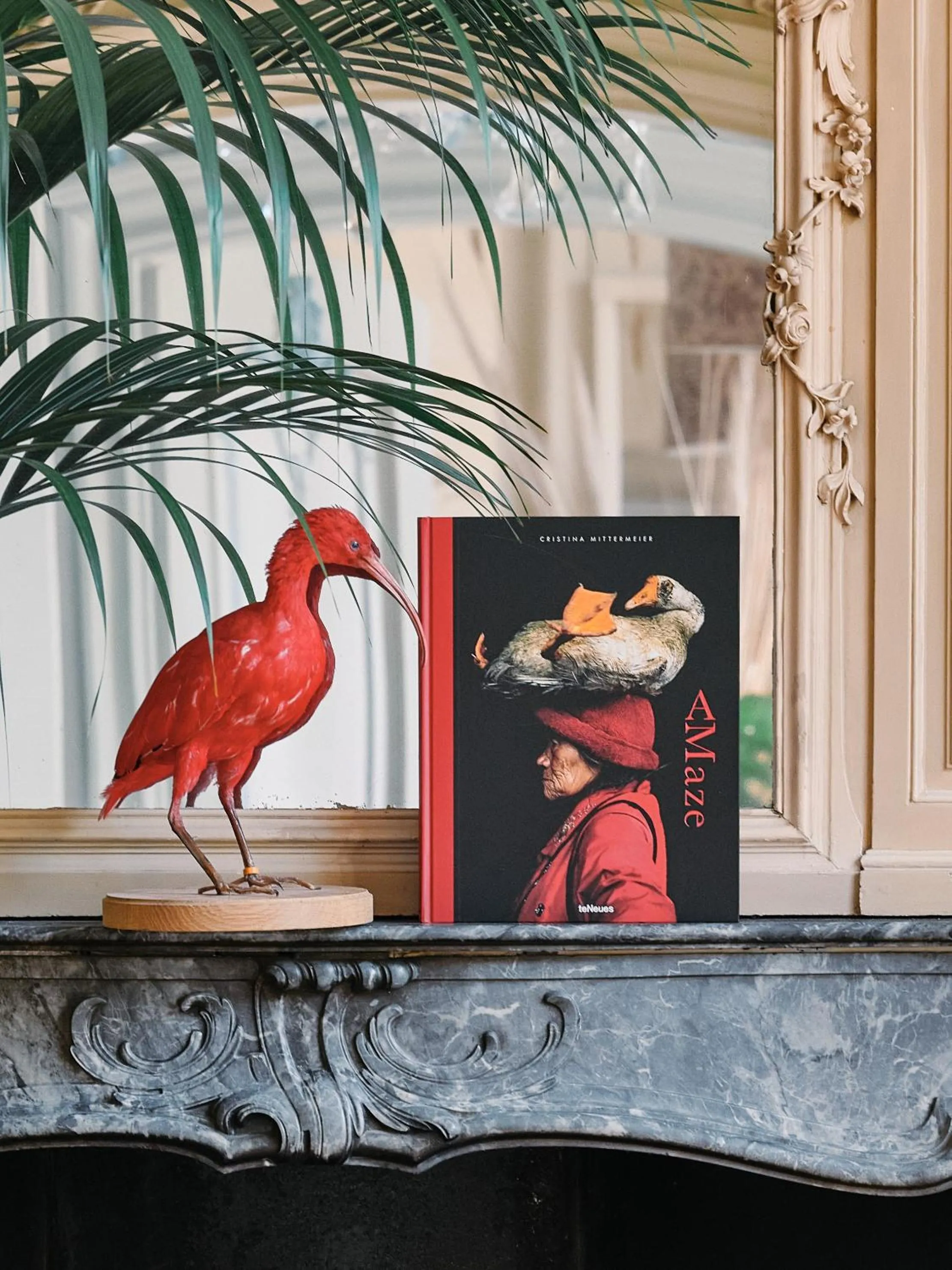 Lobby or reception in Eco Hotel Plantage Rococo