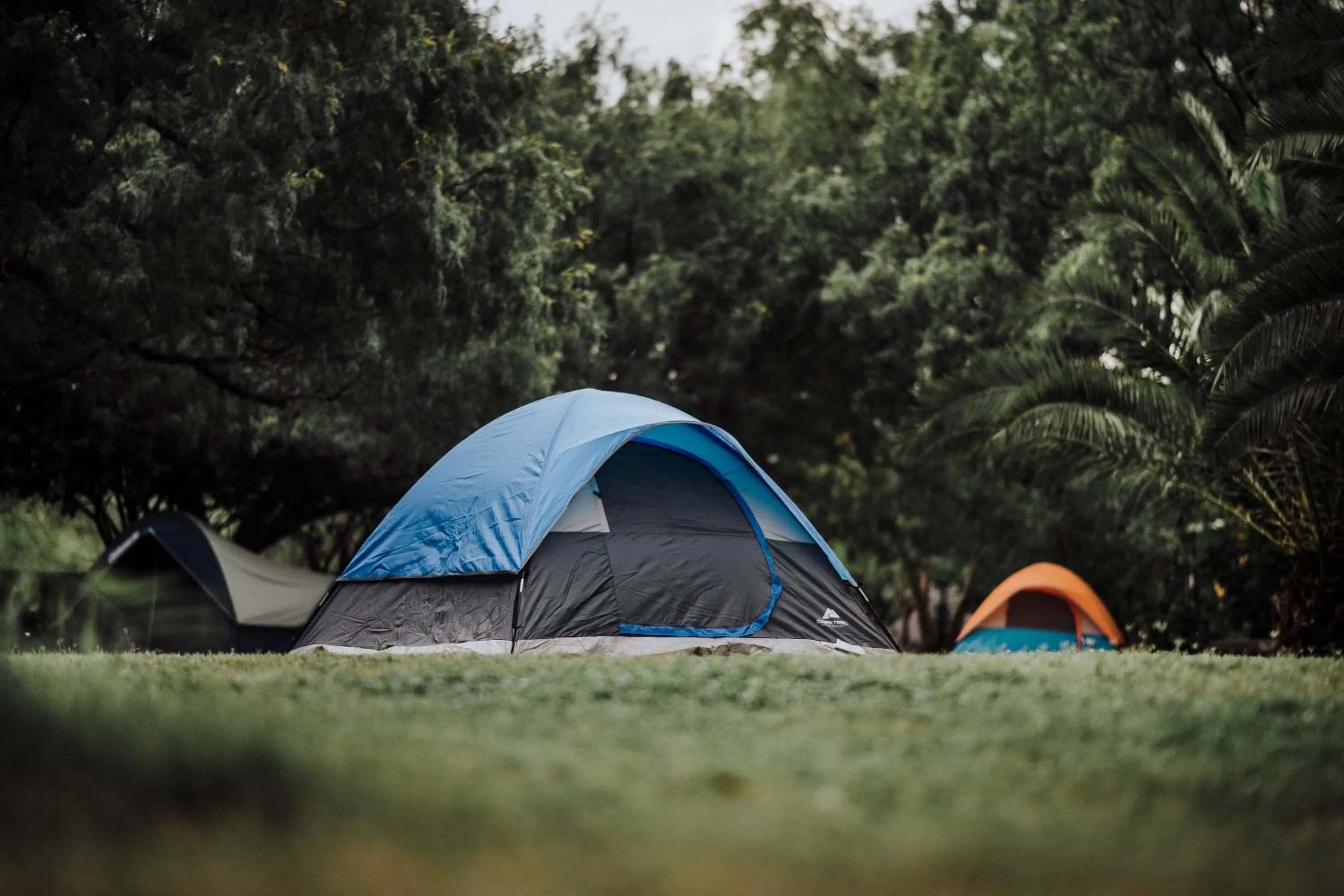 Garden in La Posada en el Potrero Chico