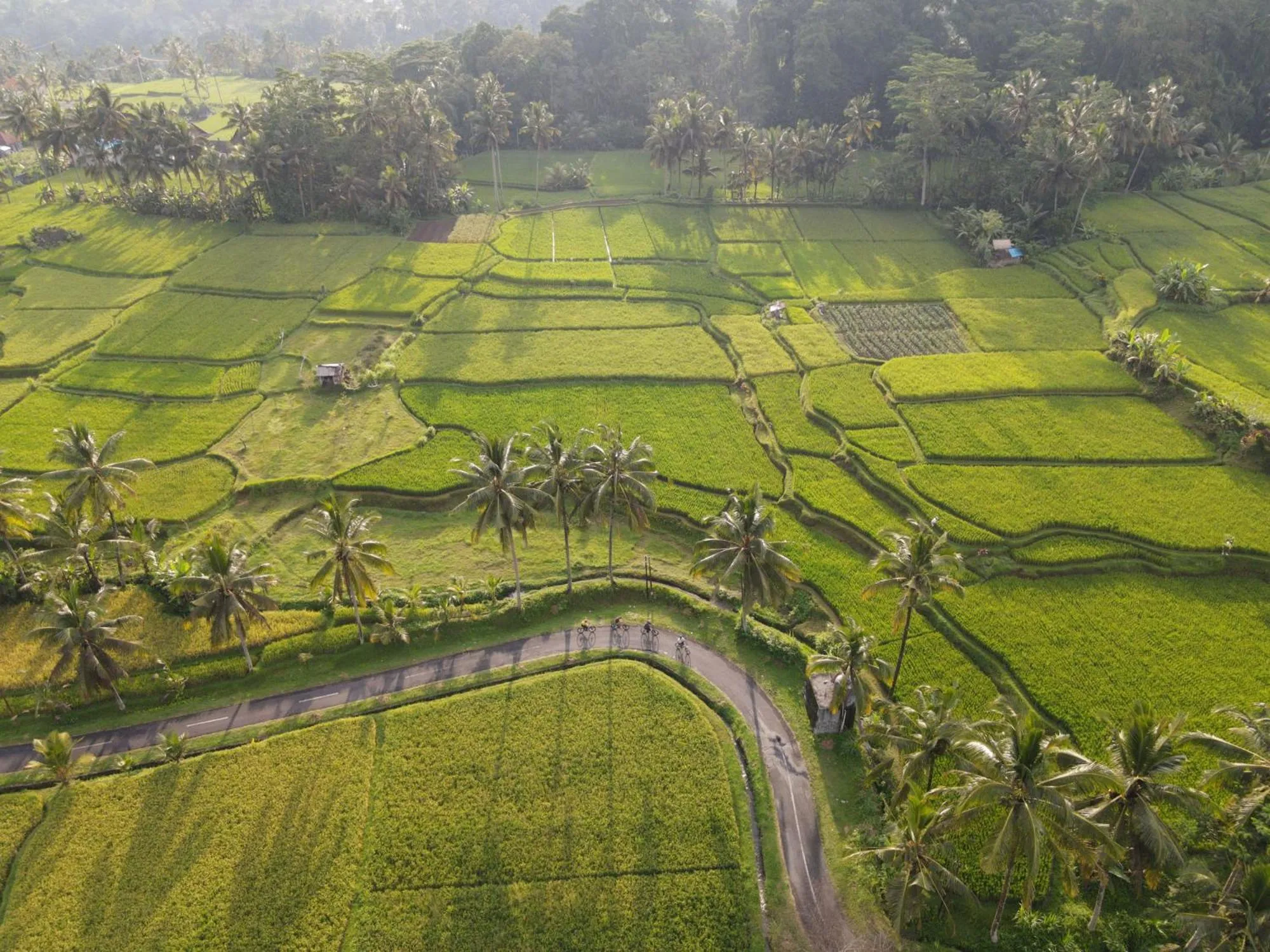 Natural landscape in The Sun of Granary Resort and Villas