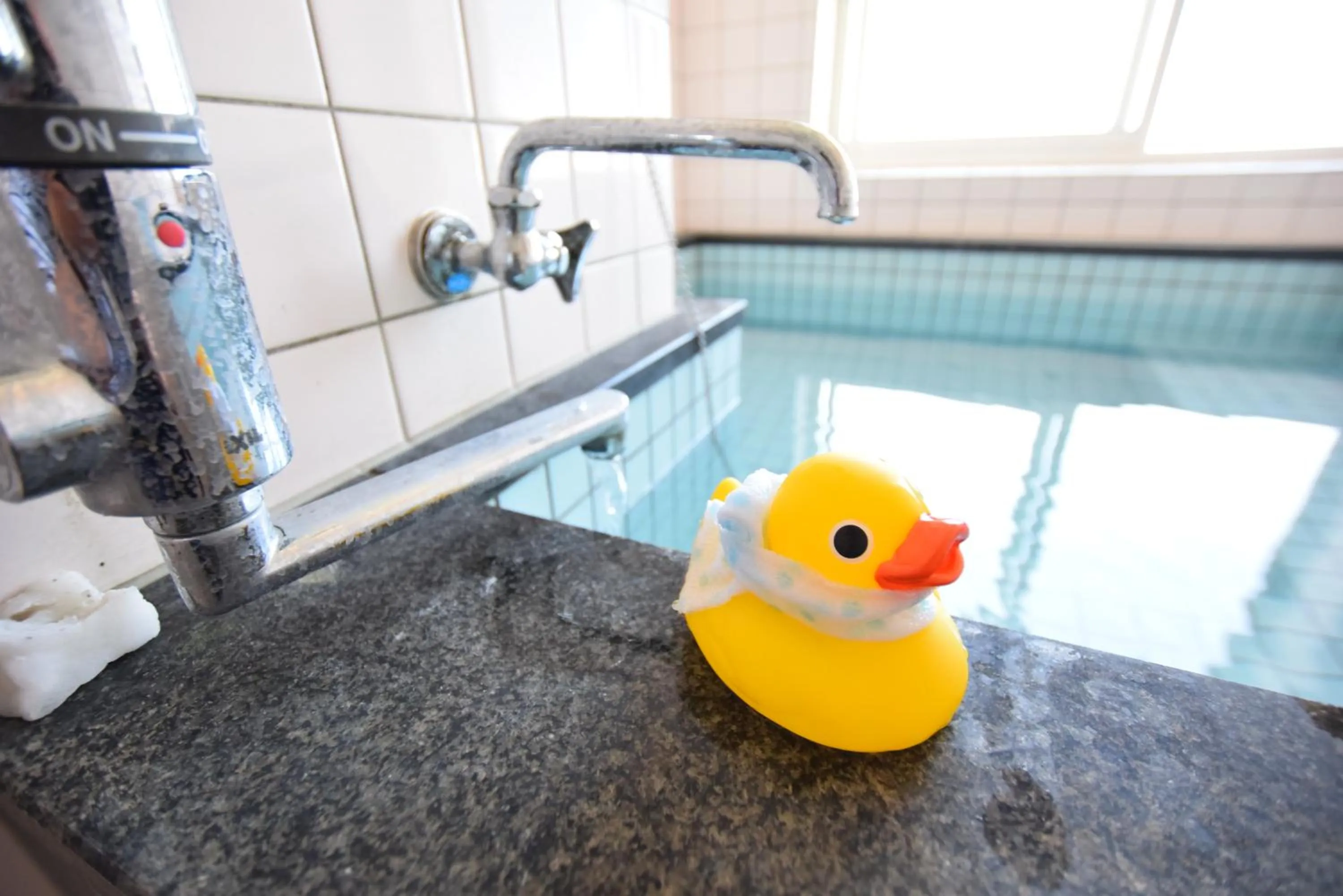 Bathroom in Shirahama Beach 312