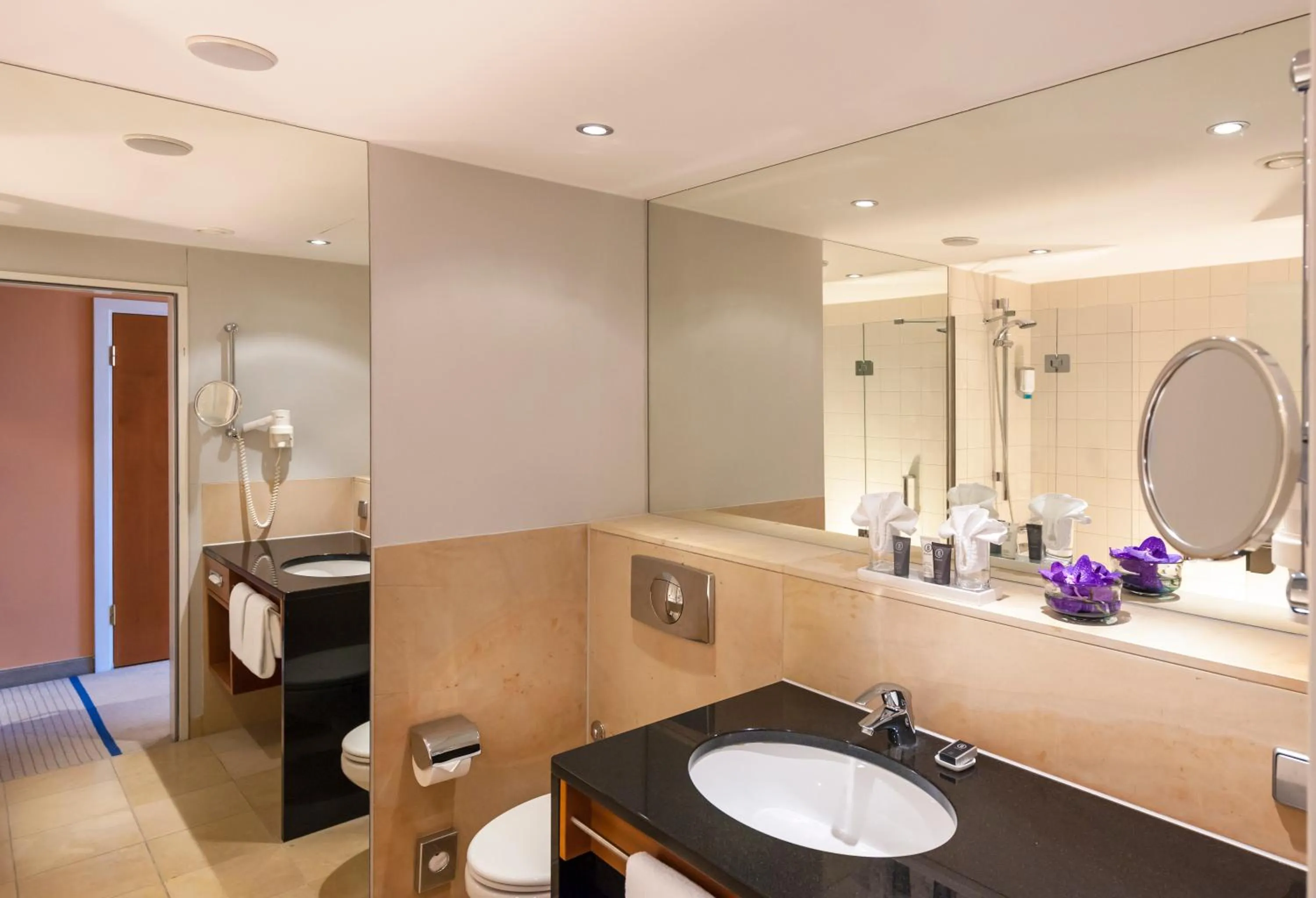 Property building in Dorint Main Taunus Zentrum Frankfurt Sulzbach