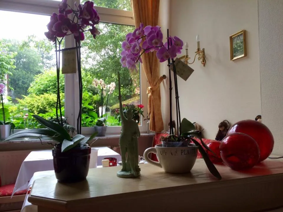 Communal lounge/ TV room in Kurvilla Fürstin Pauline