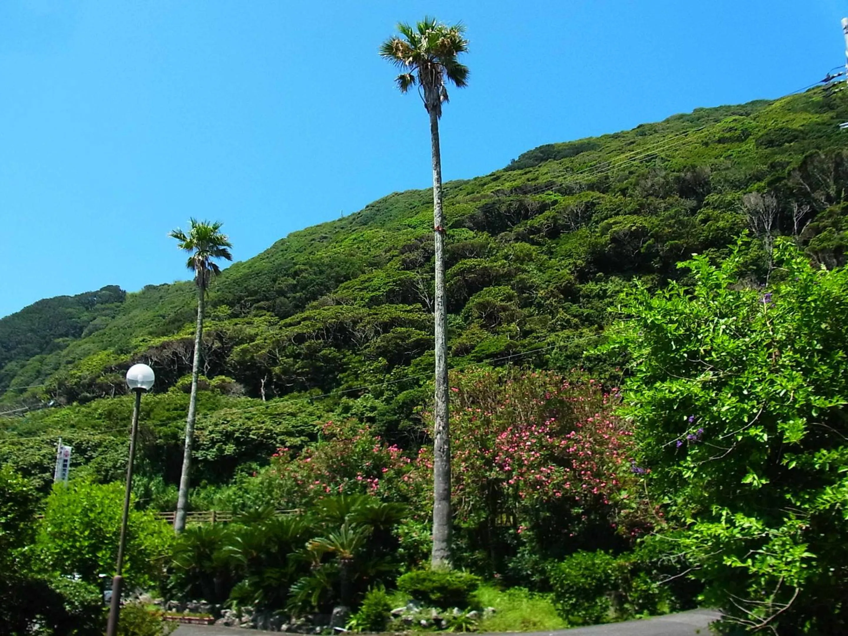 Natural landscape in Misaki Kanko Hotel